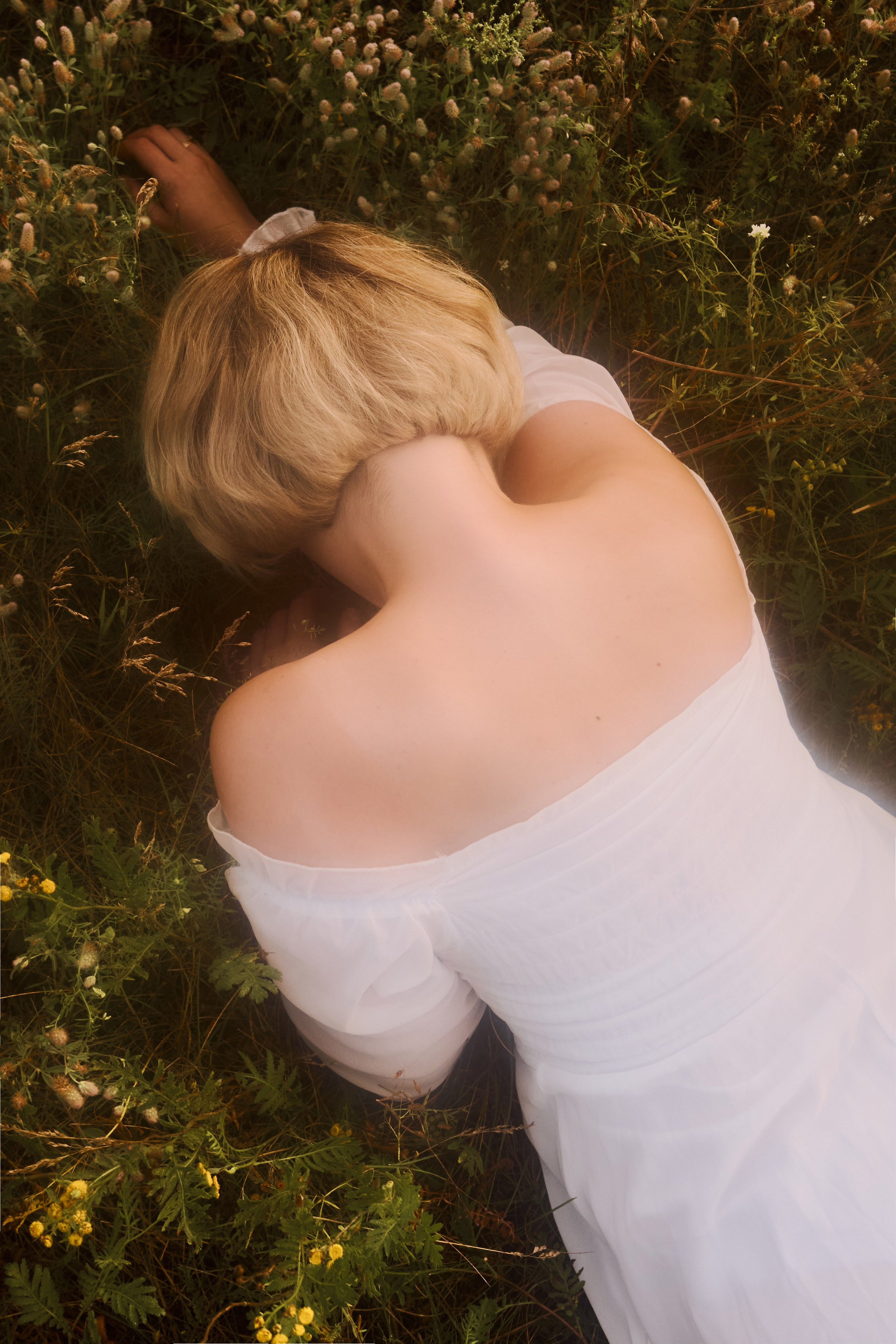 фотосессия в поле, фотограф Калагина Светлана