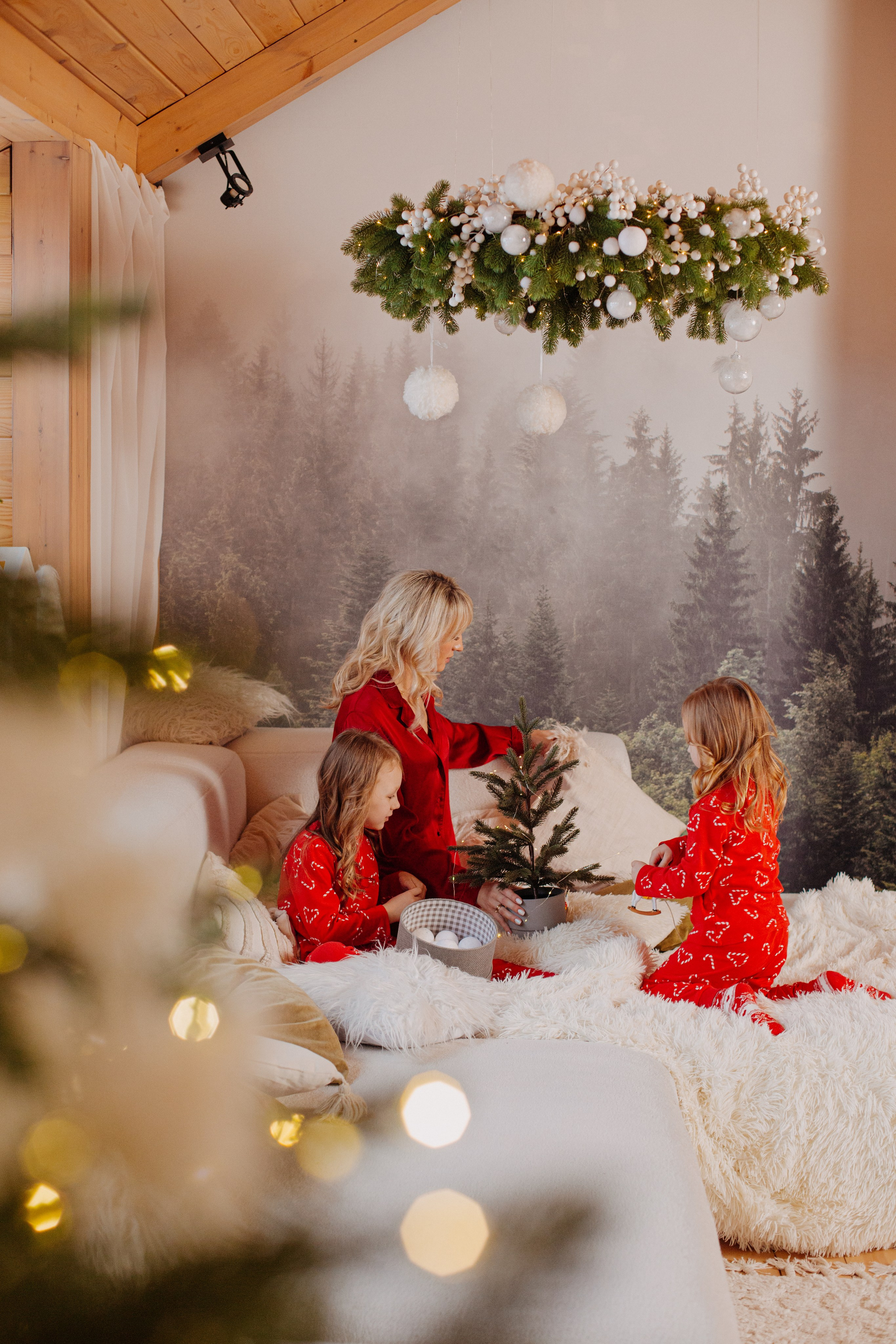 Новогодние съемки. Фуд фотограф новосибирск