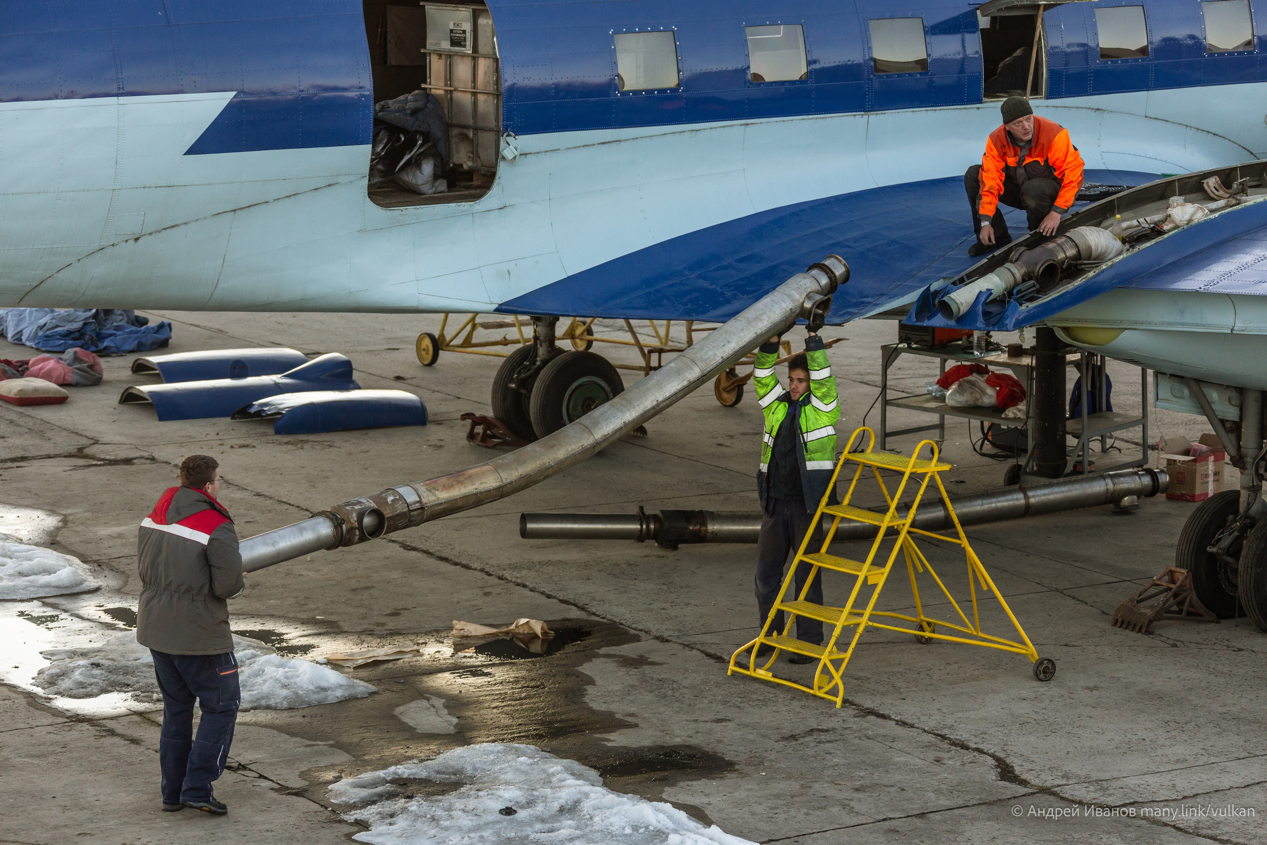 Ил-14Т «Голубая Мечта» (2026 г.). Фотоальбом показывающий увлекательный мир авиации и мир медведей Андрея Иванова