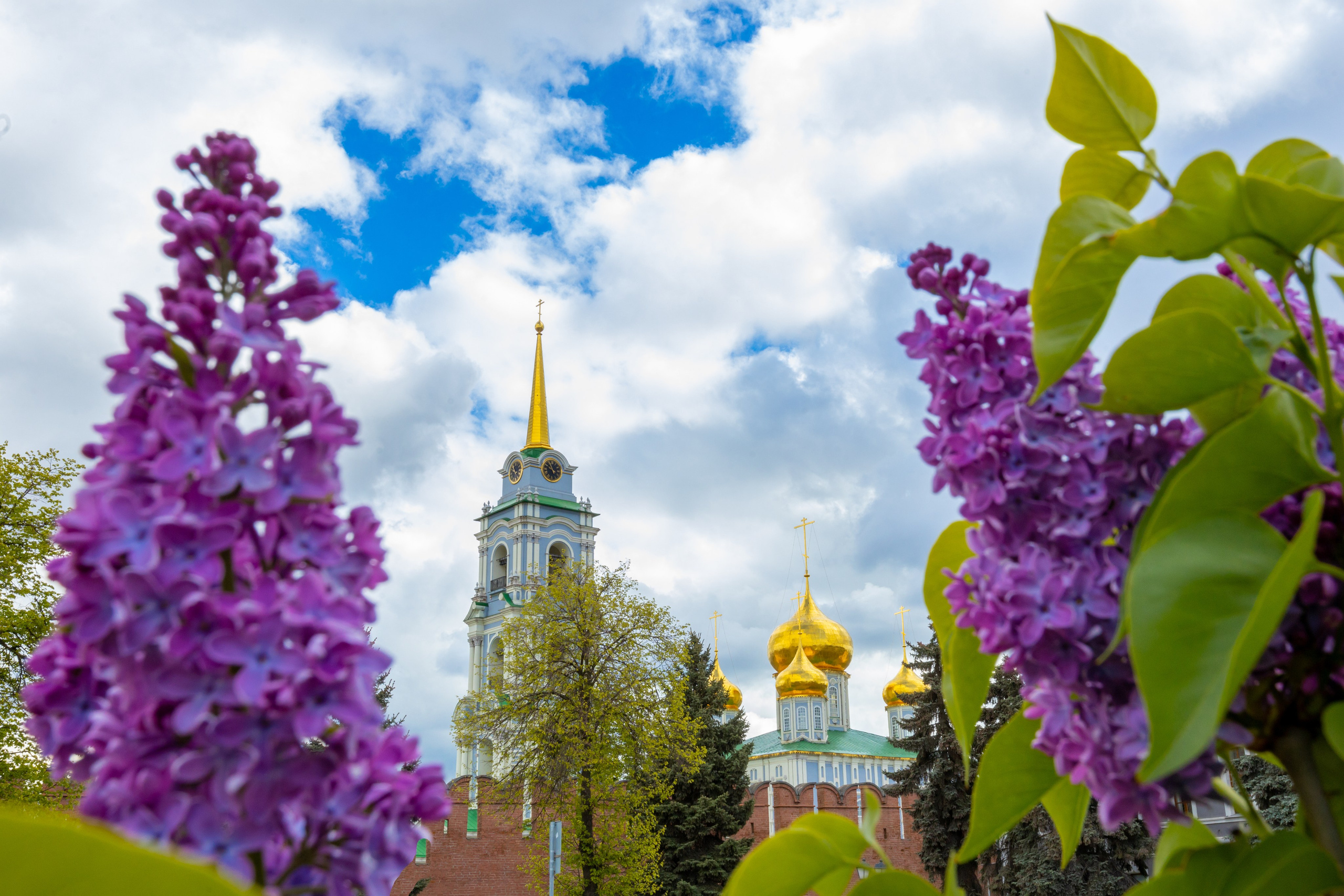 Весеннее цветение в Туле. Фотограф в Туле Крупский АнДРей. Фотостудия «КАДР71» в Туле
