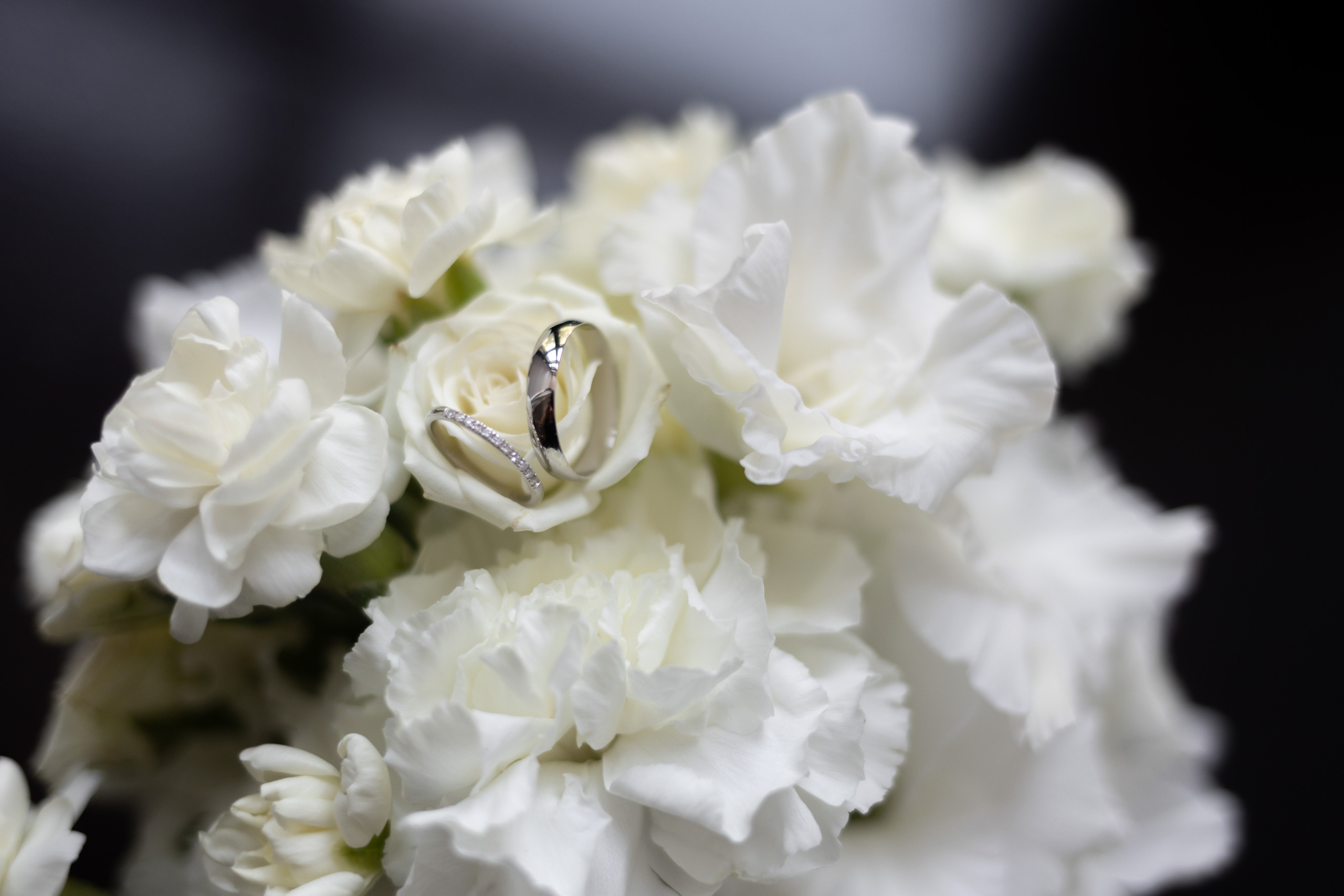 Иван & Екатерина. Свадебный фотограф Наталья Молявина