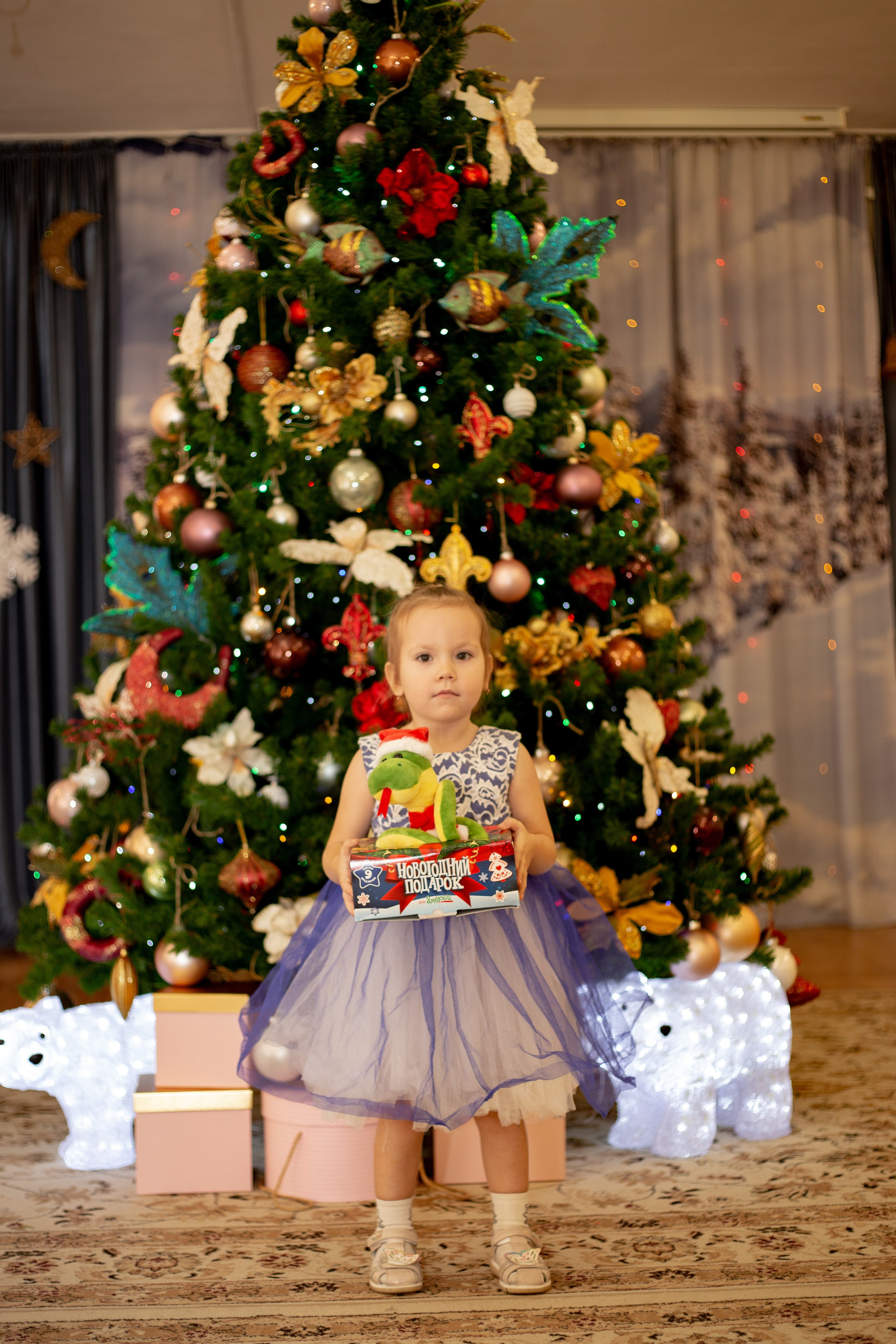 Утренник в детском саду. Https://malovafoto.ru