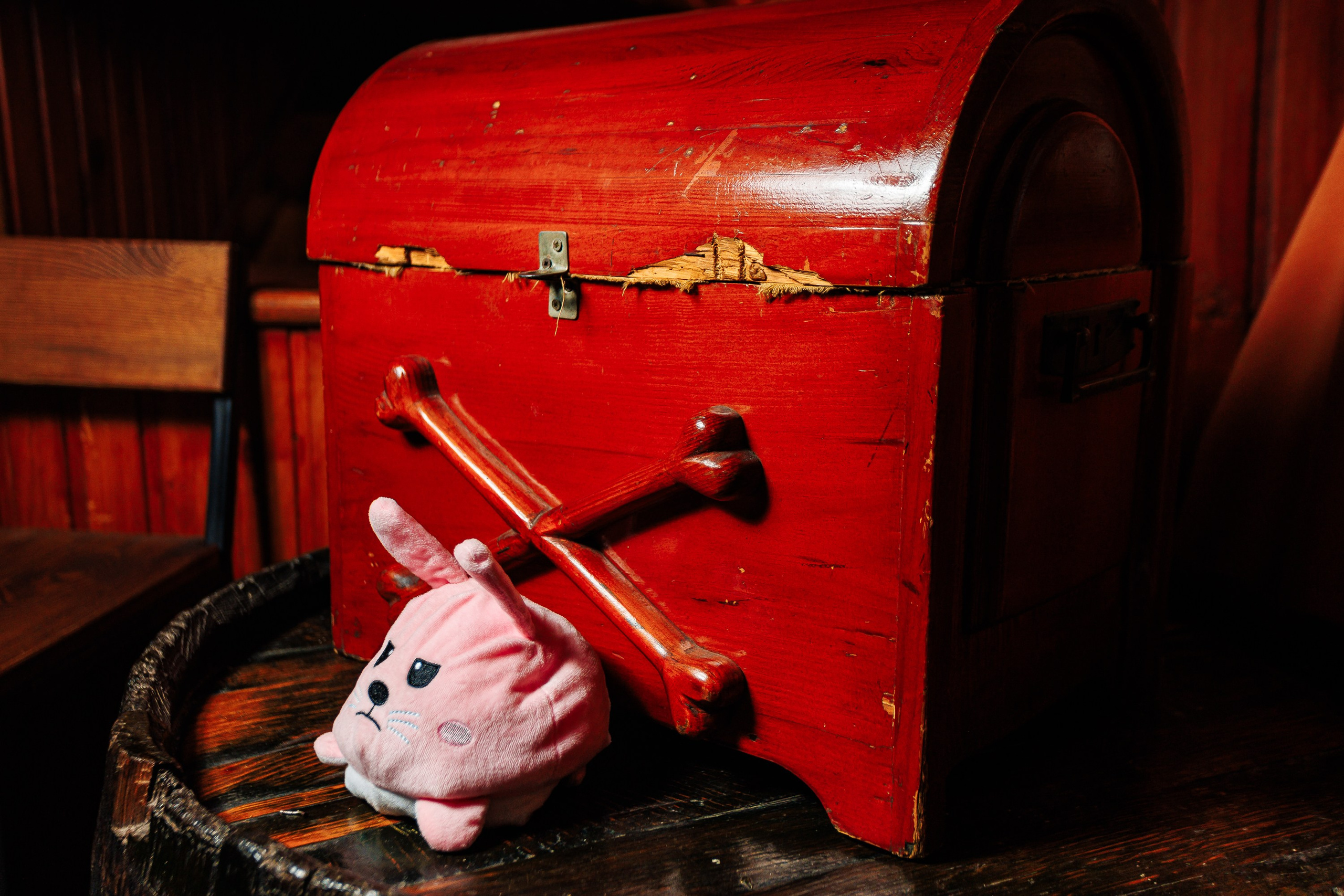 Группа «Kooraga»_Tortuga_Симферополь_15.02.2025. Аминов Руслан | Фотограф