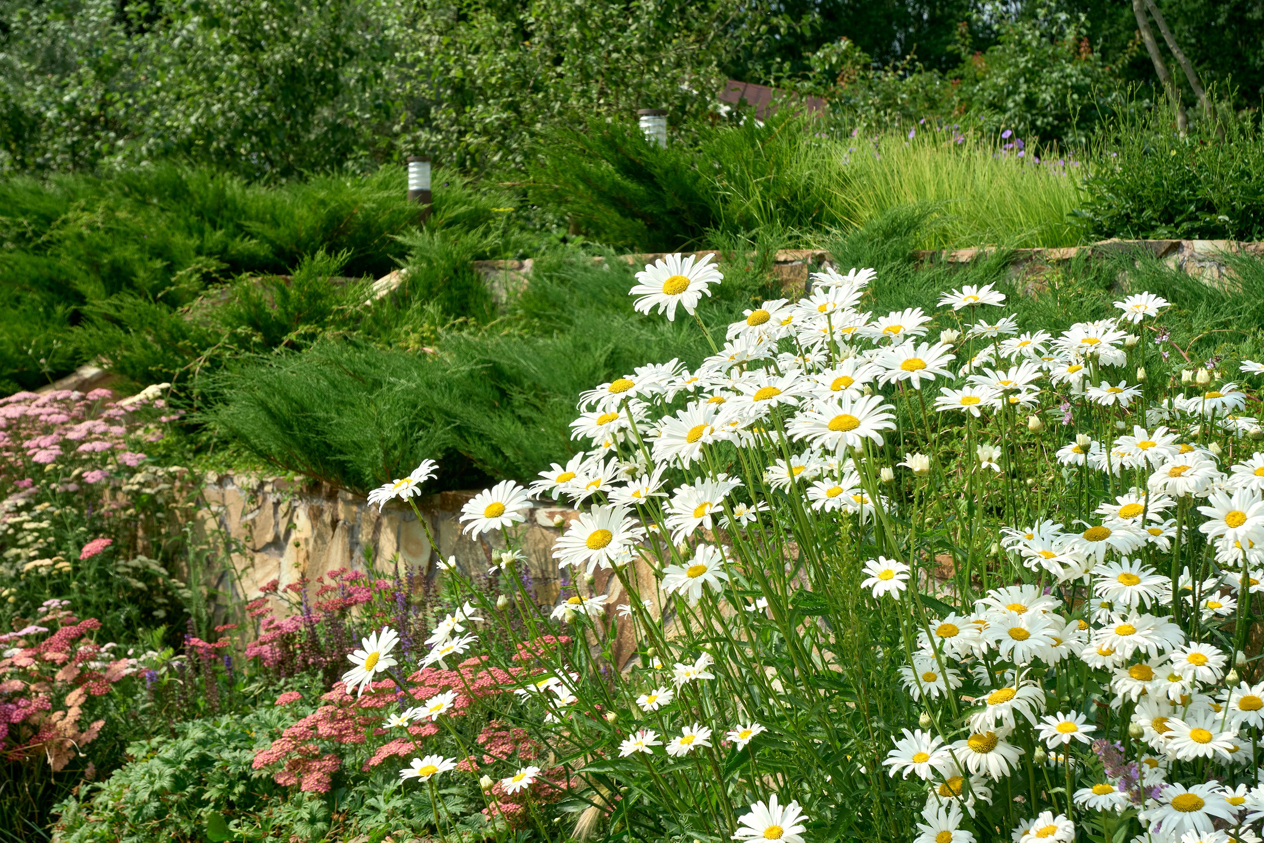 Ландшафтный и интерьерный фотограф Наталья Соловьева. Фотосъемка частного сада в&nbsp;Ломоносовском районе для ландшафтного дизайнера Анаит Акопян и&nbsp;студии ВСЕВСАД | interioto