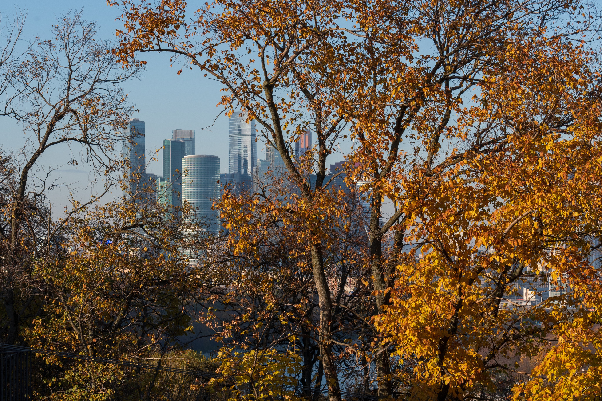 20211010 МГУ. Дмитрий Ремизов. Фотография, как хобби