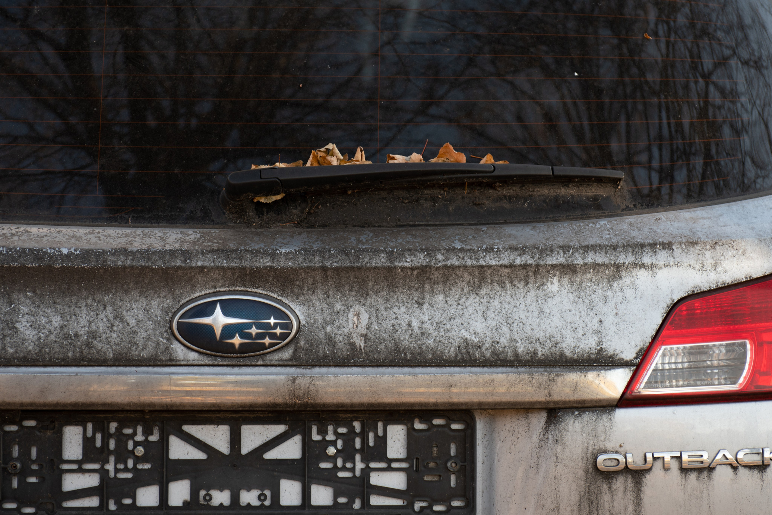 20211010 МГУ. Дмитрий Ремизов. Фотография, как хобби