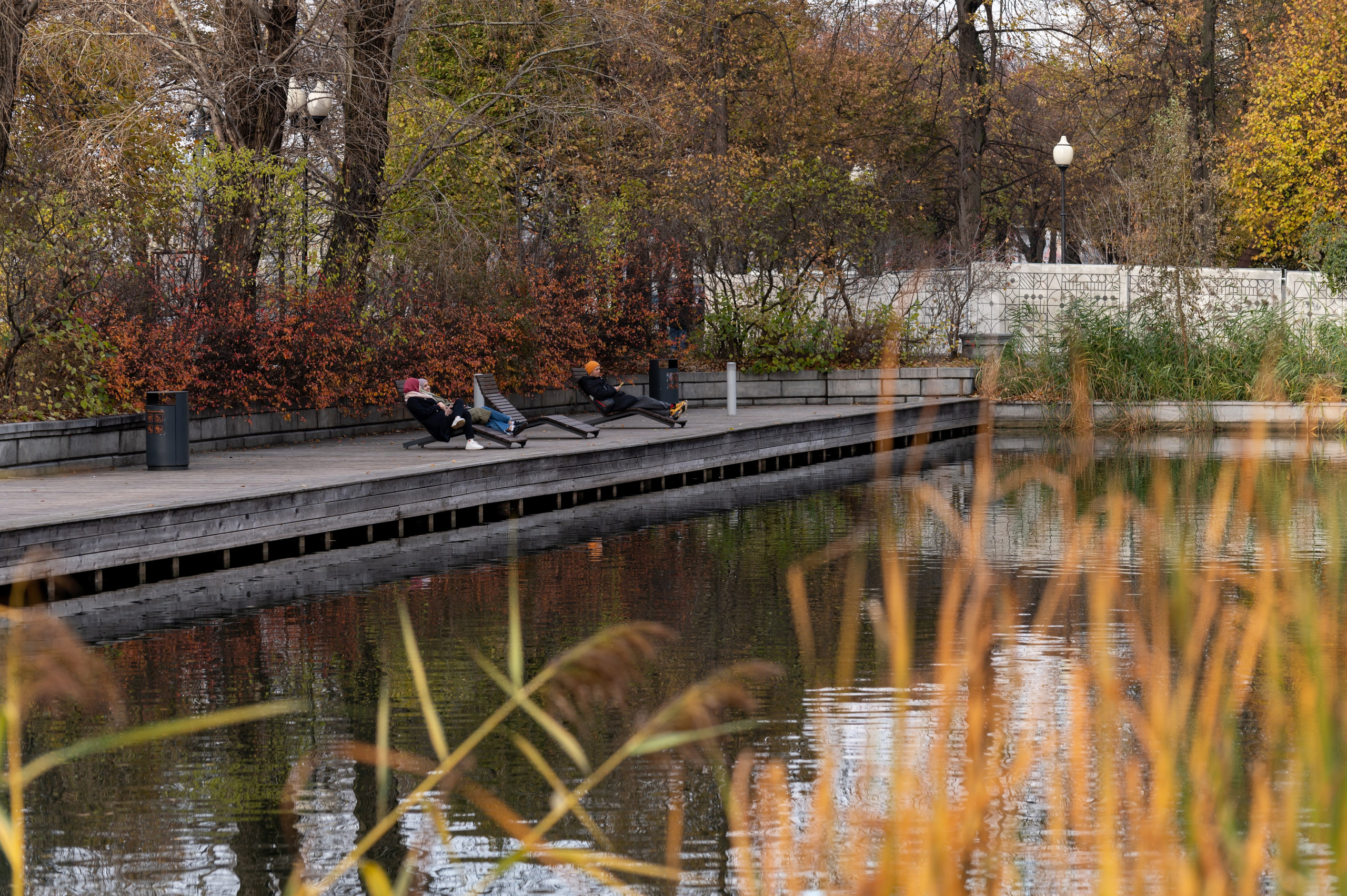 20231031 Нескучный сад. Дмитрий Ремизов. Фотография, как хобби