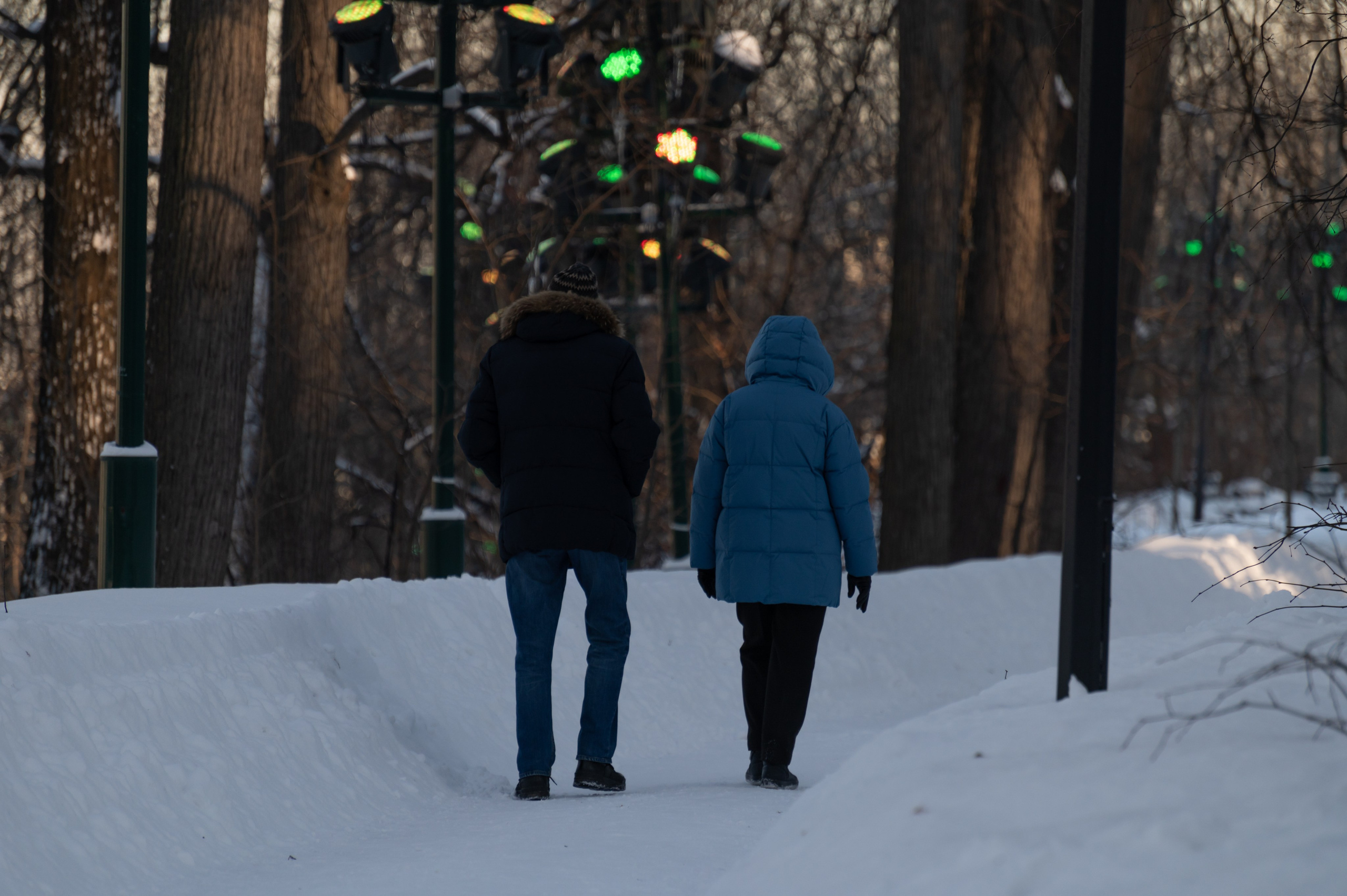 20240120 Воробьёвы горы. Дмитрий Ремизов. Фотография, как хобби
