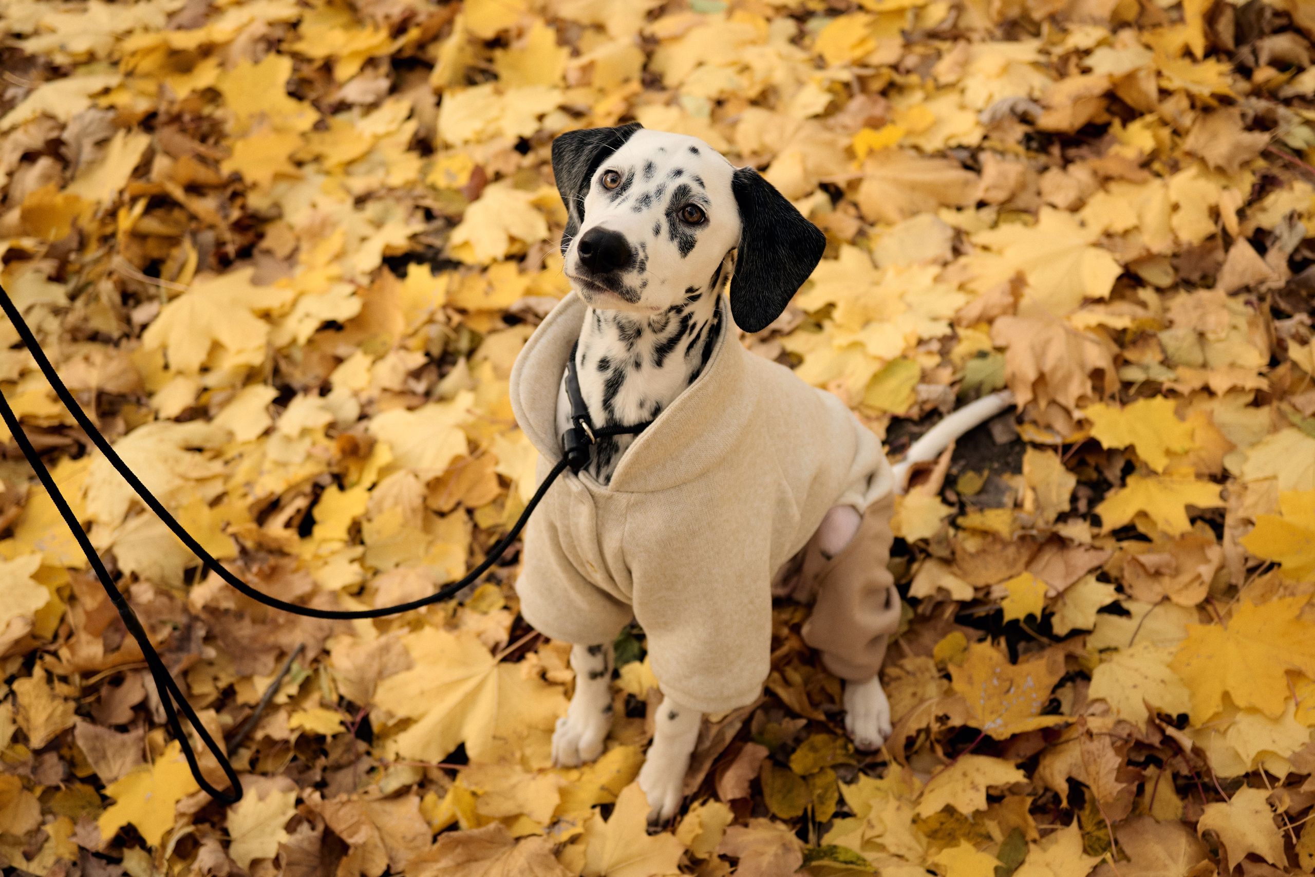 Работы. Женский фотограф |Санкт-Петербург