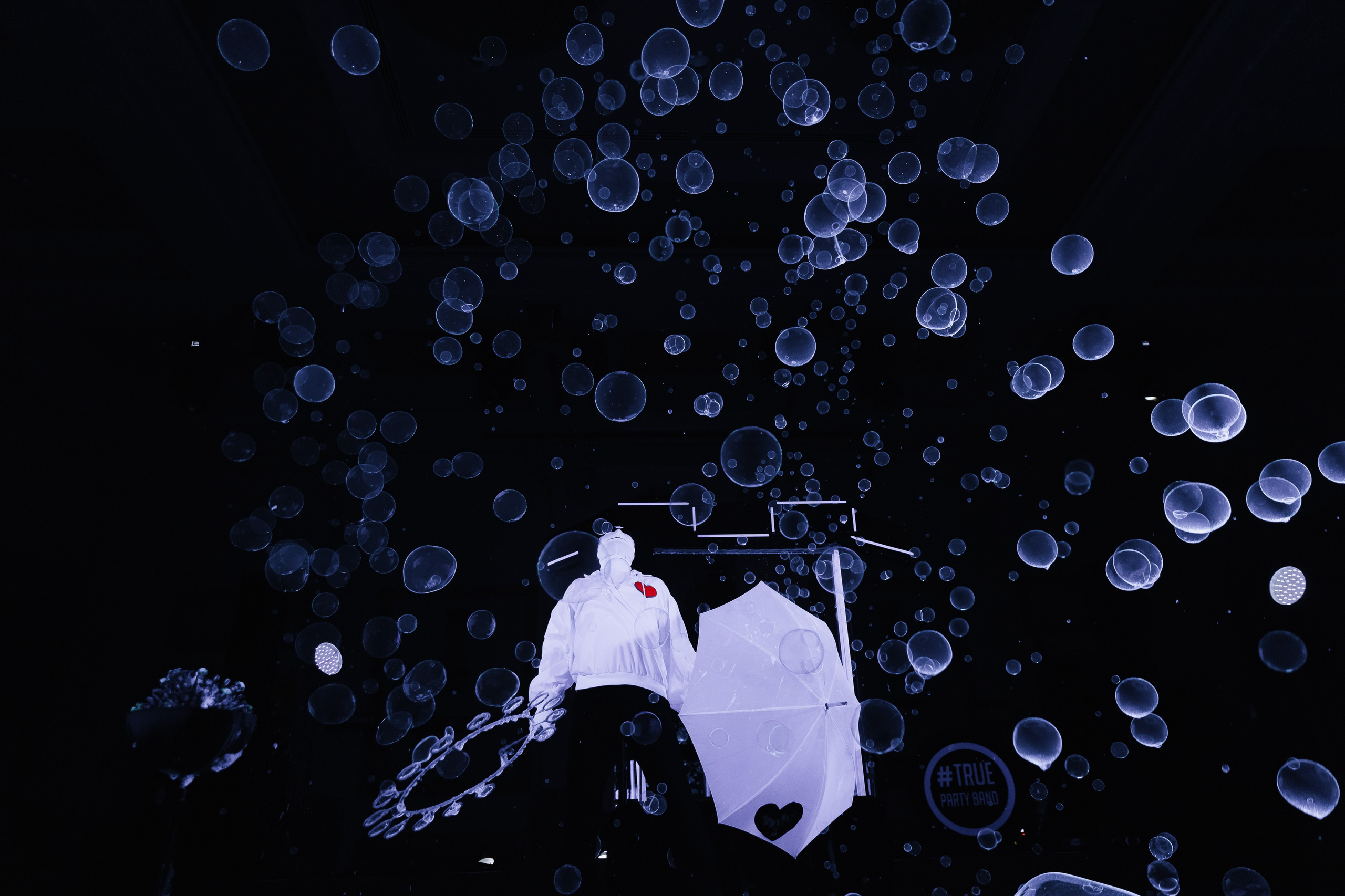 День Рождения Анастасии. NesterovaMaria.ru