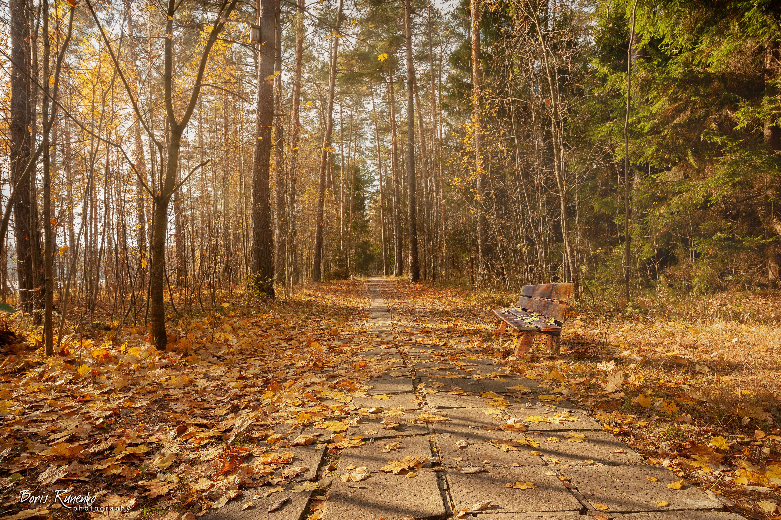 Озеро Белое. Московская область. Борис Руненко. Пейзажный и travel-фотограф