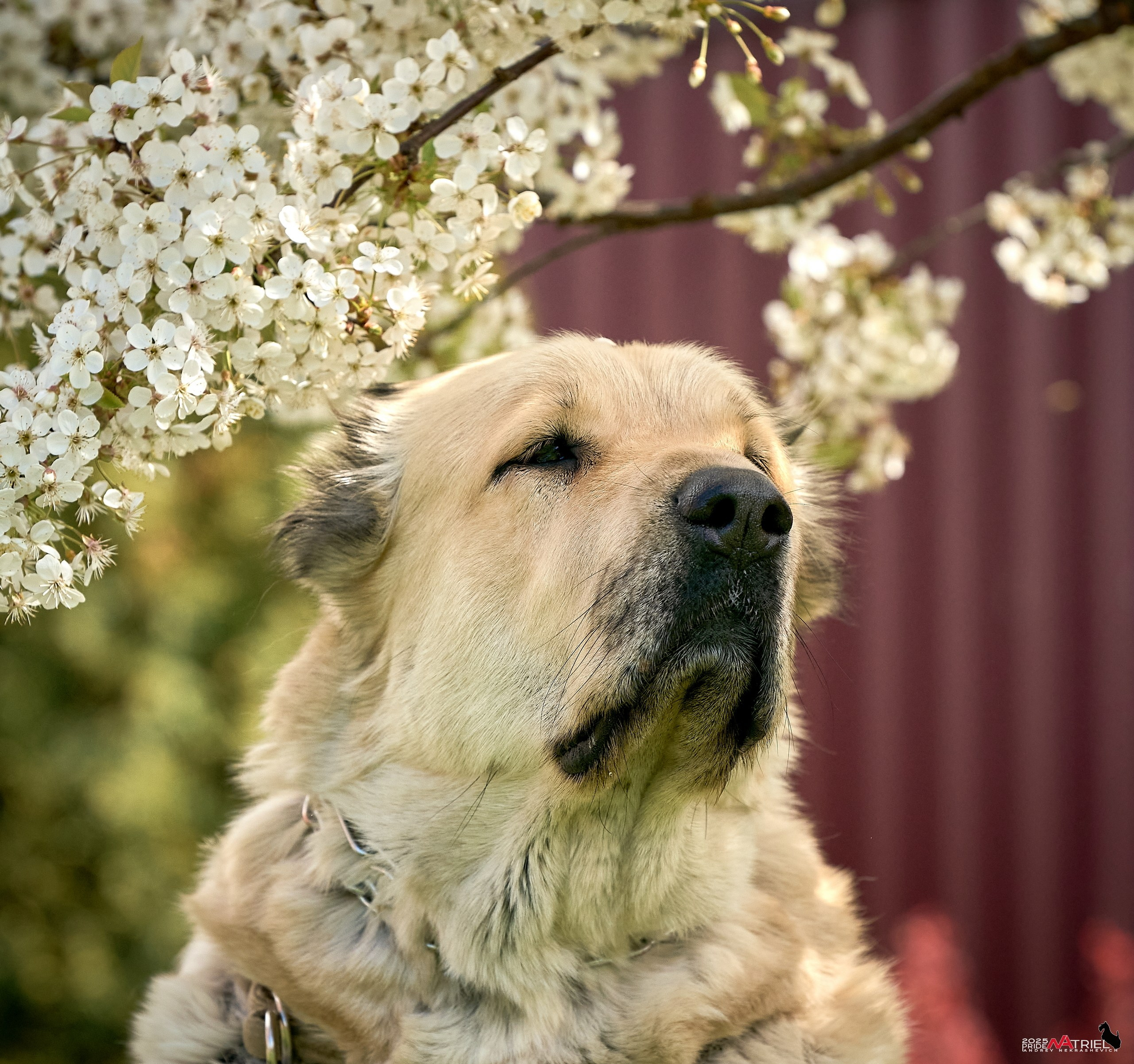 Съемка в питомнике