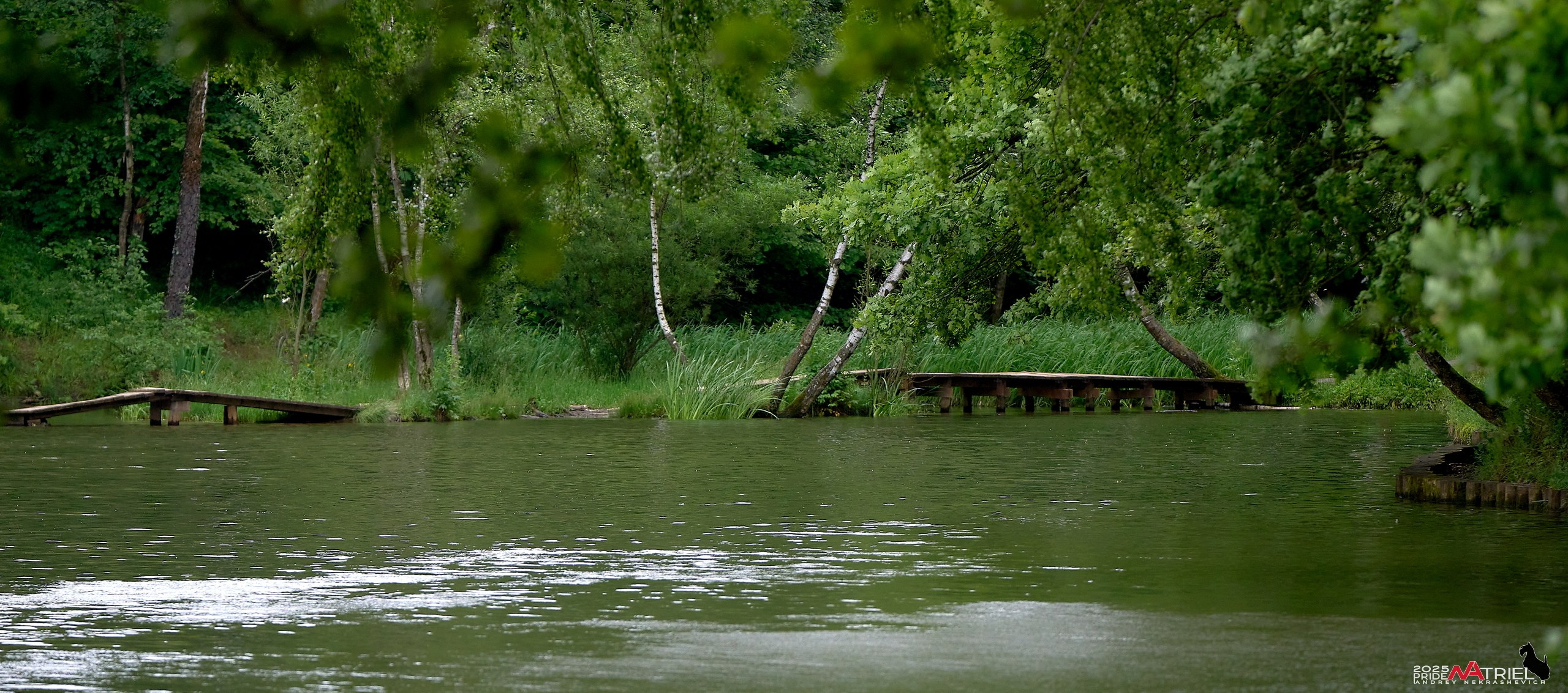 Съемка в парке на воде