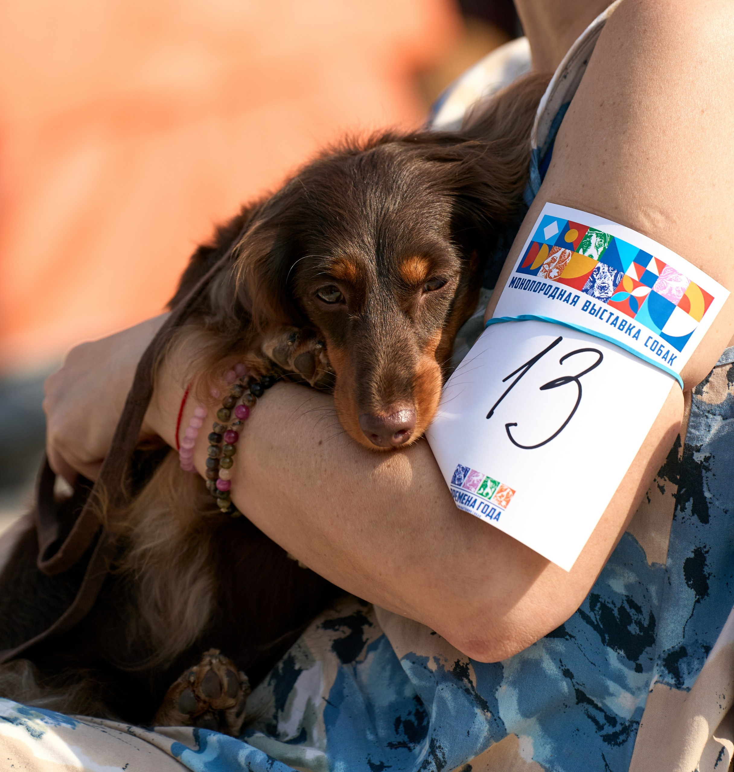 Съемка на выставке Ясенево