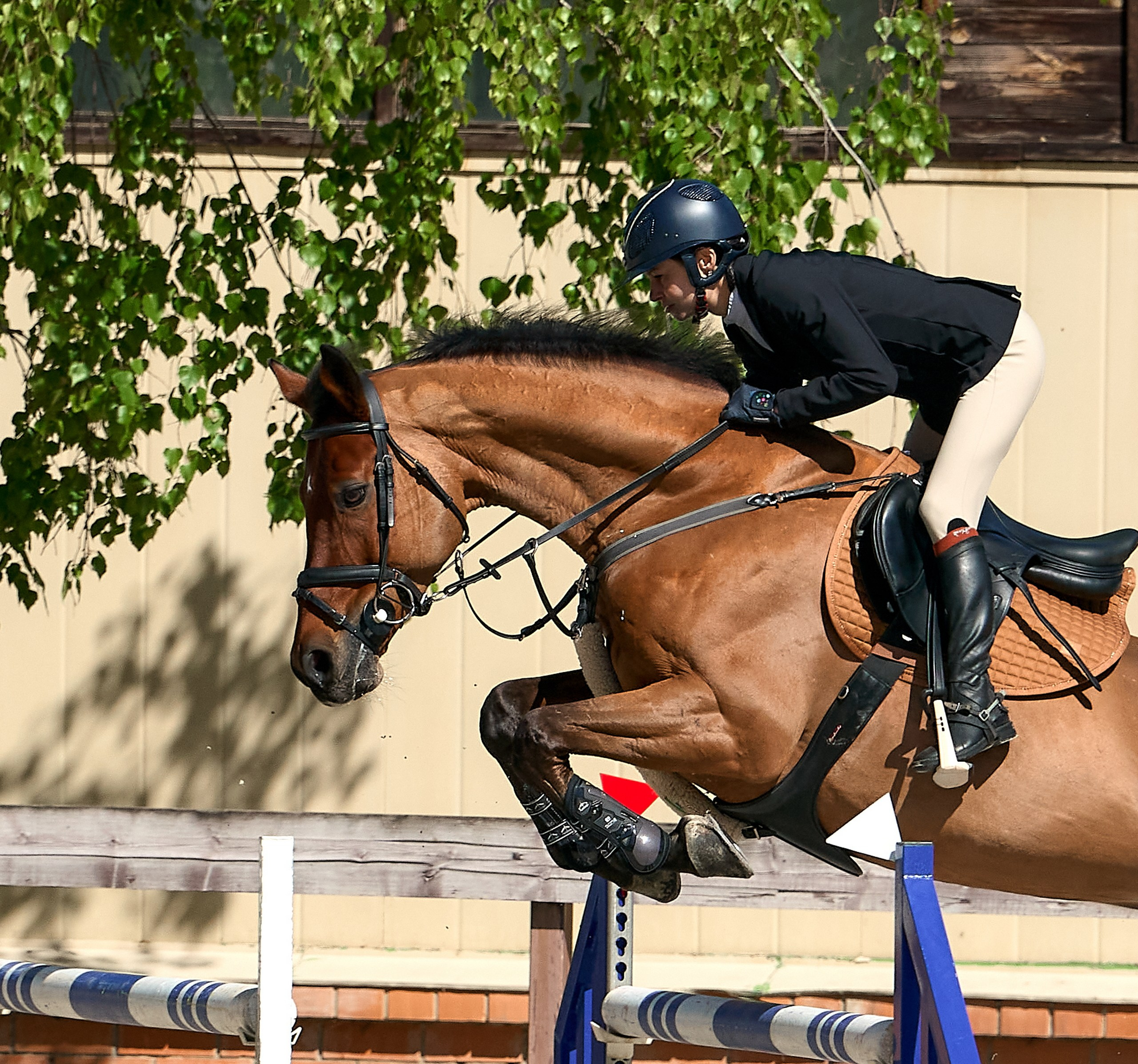 Соревнования на лошадях — галерея NATRIEL