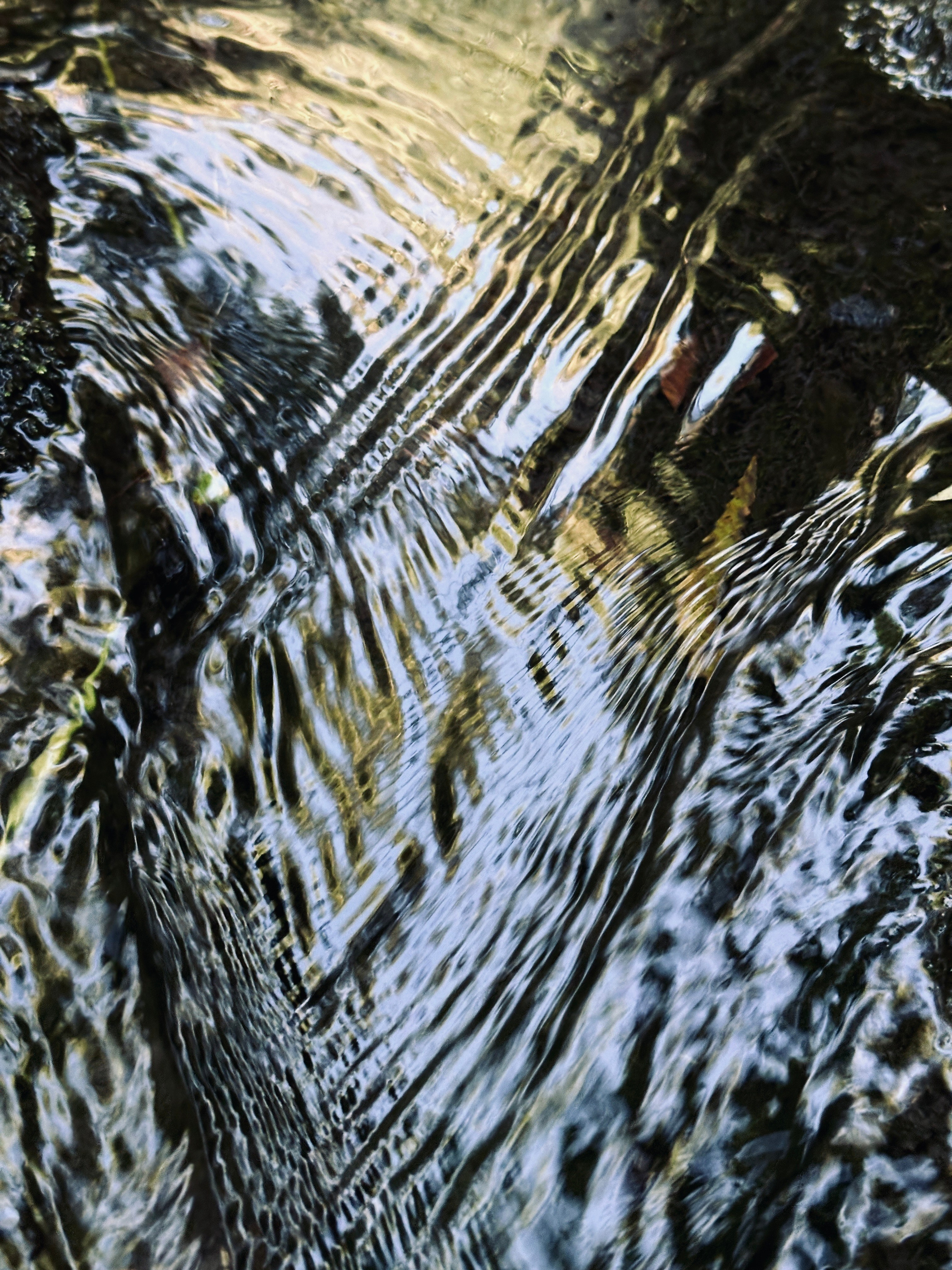 Флора и фауна. Смотри, красота!