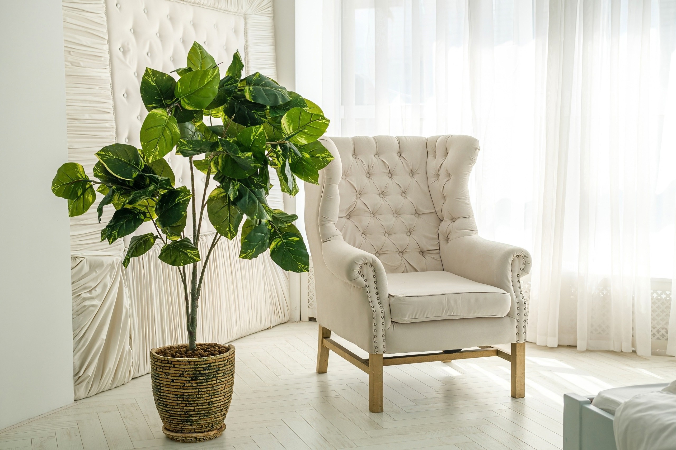 Фотостудия «Свет» зал LIGHTROOM