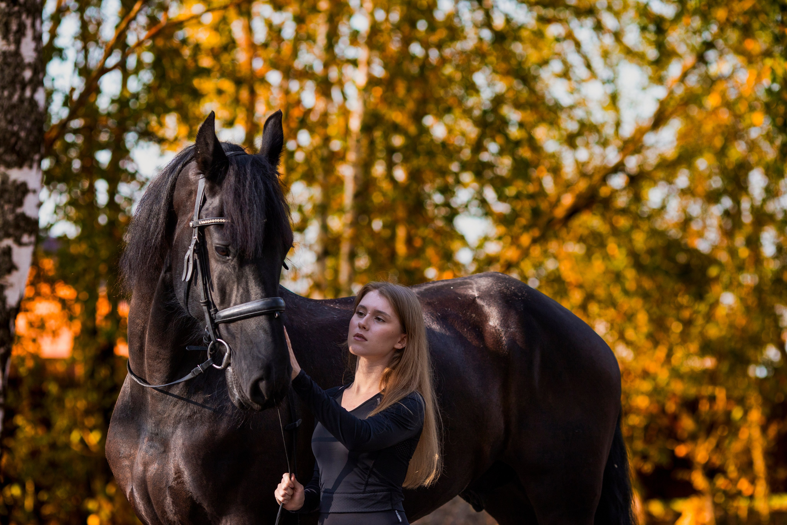 С лошадьми. Фотограф в Москве и в Московской области Сандра