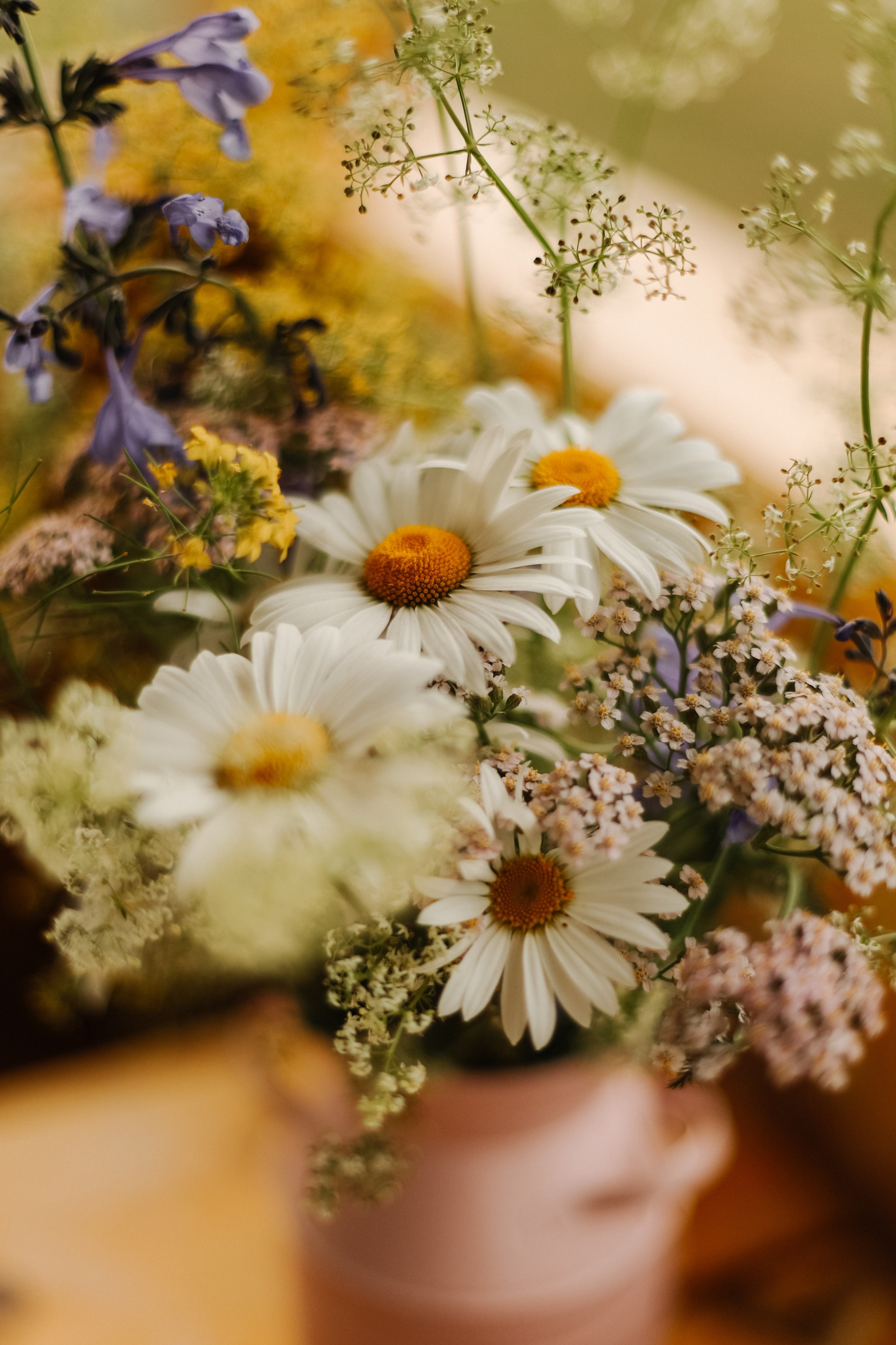 Съемка недвижимости. Фотограф в Краснодаре и на Алтае Мария Зорькина