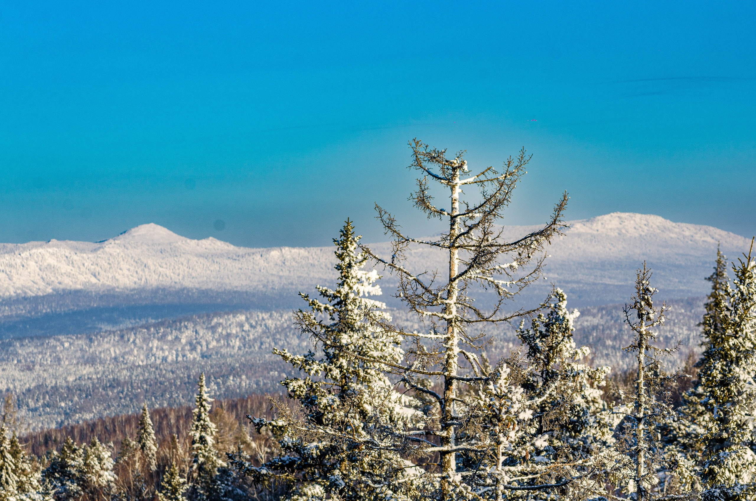 Таганай Семибратка, Парк Бажова, ледяной фонтан 06.01.2024. Свадебный фотограф на Урале Виктор Соколов