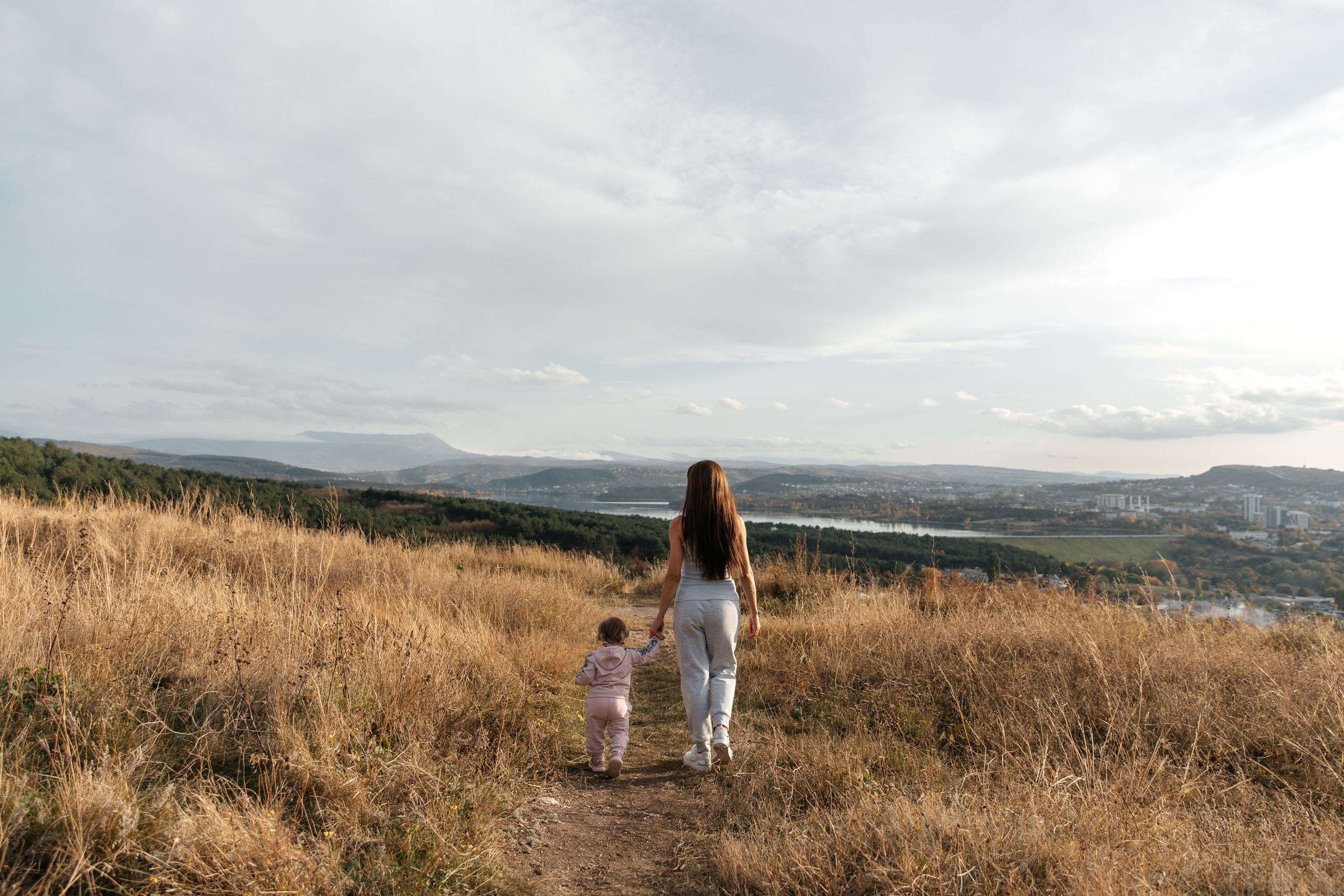 Forest. ФОТОГРАФ