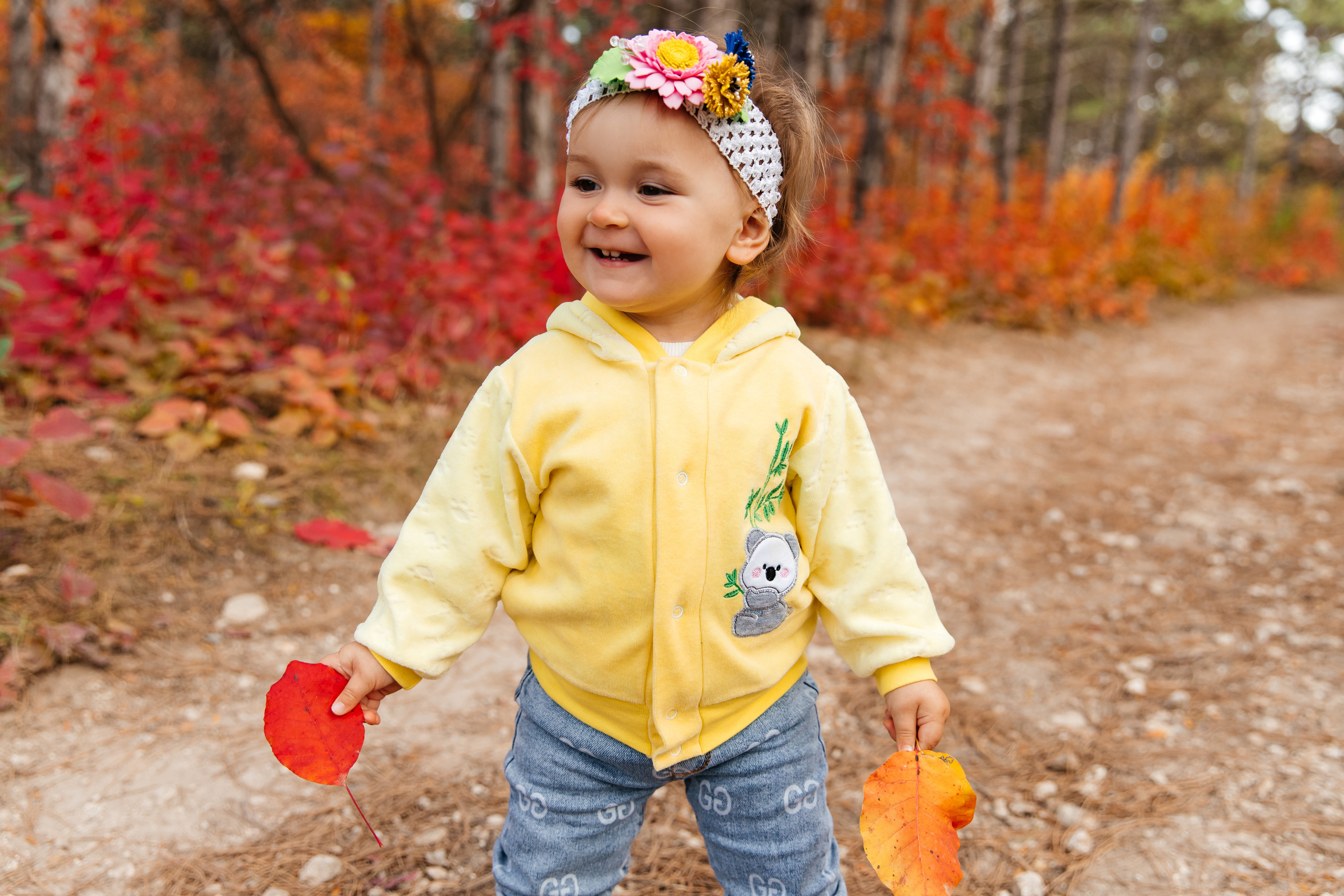 Forest. ФОТОГРАФ
