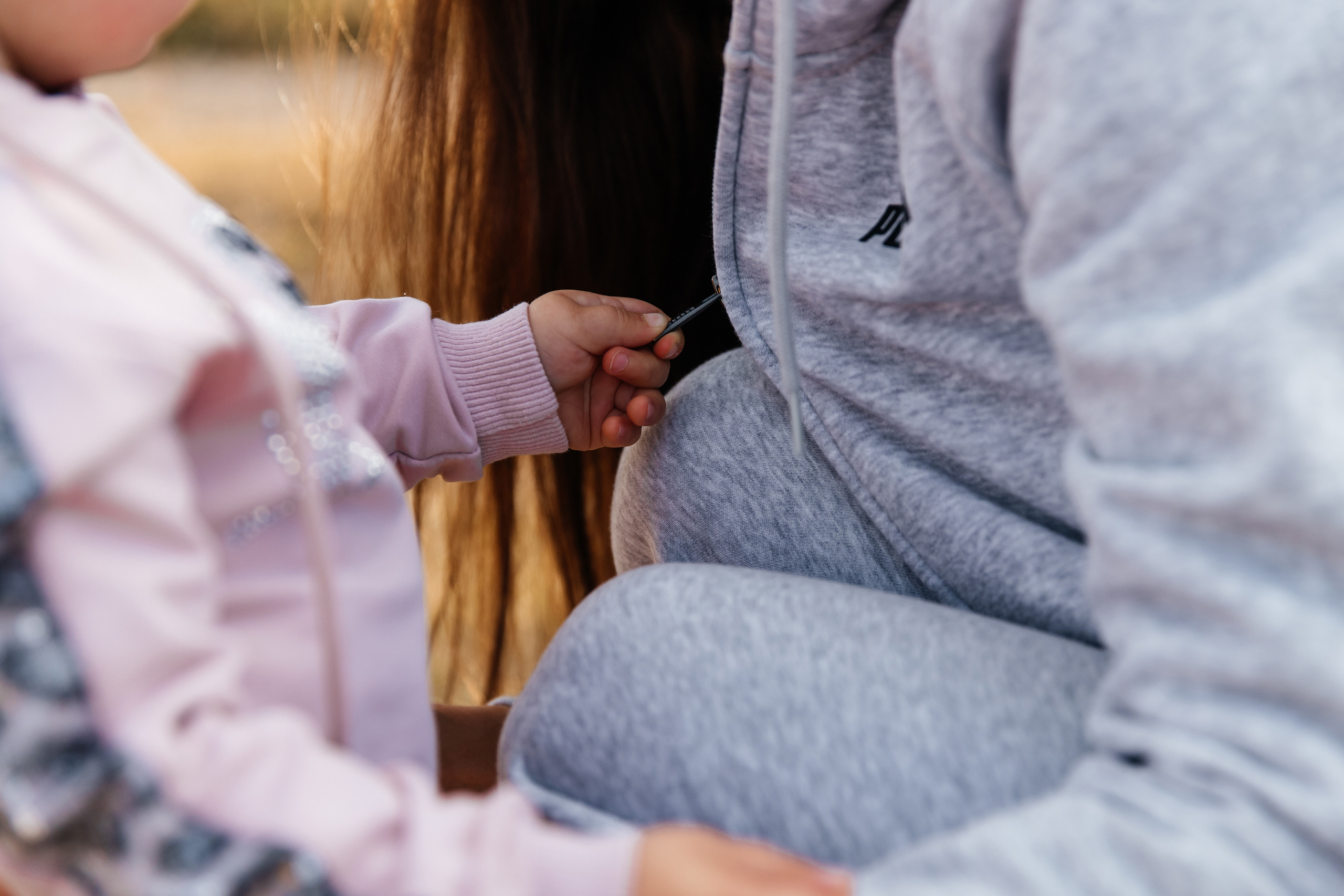 Forest. ФОТОГРАФ