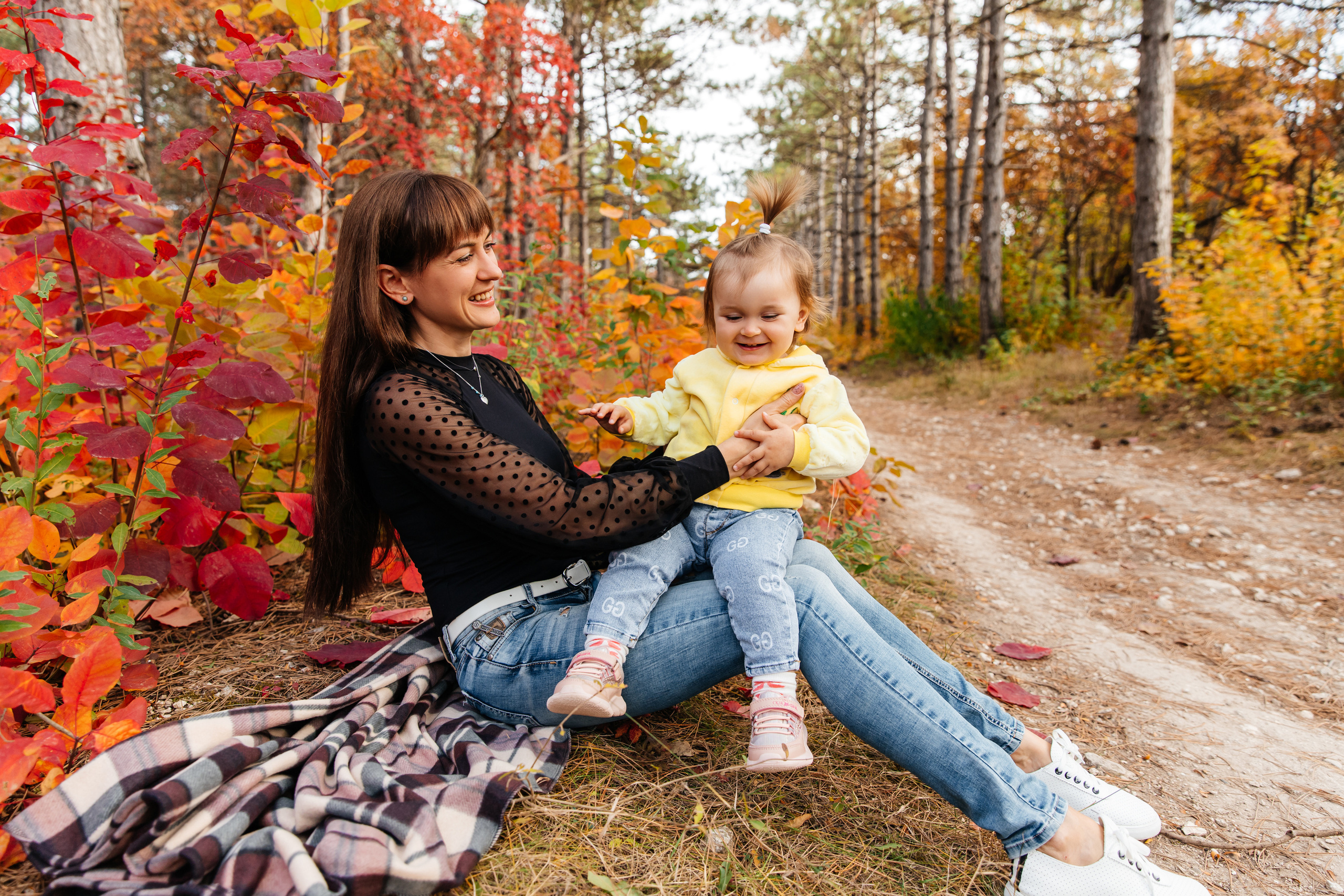 Forest. ФОТОГРАФ