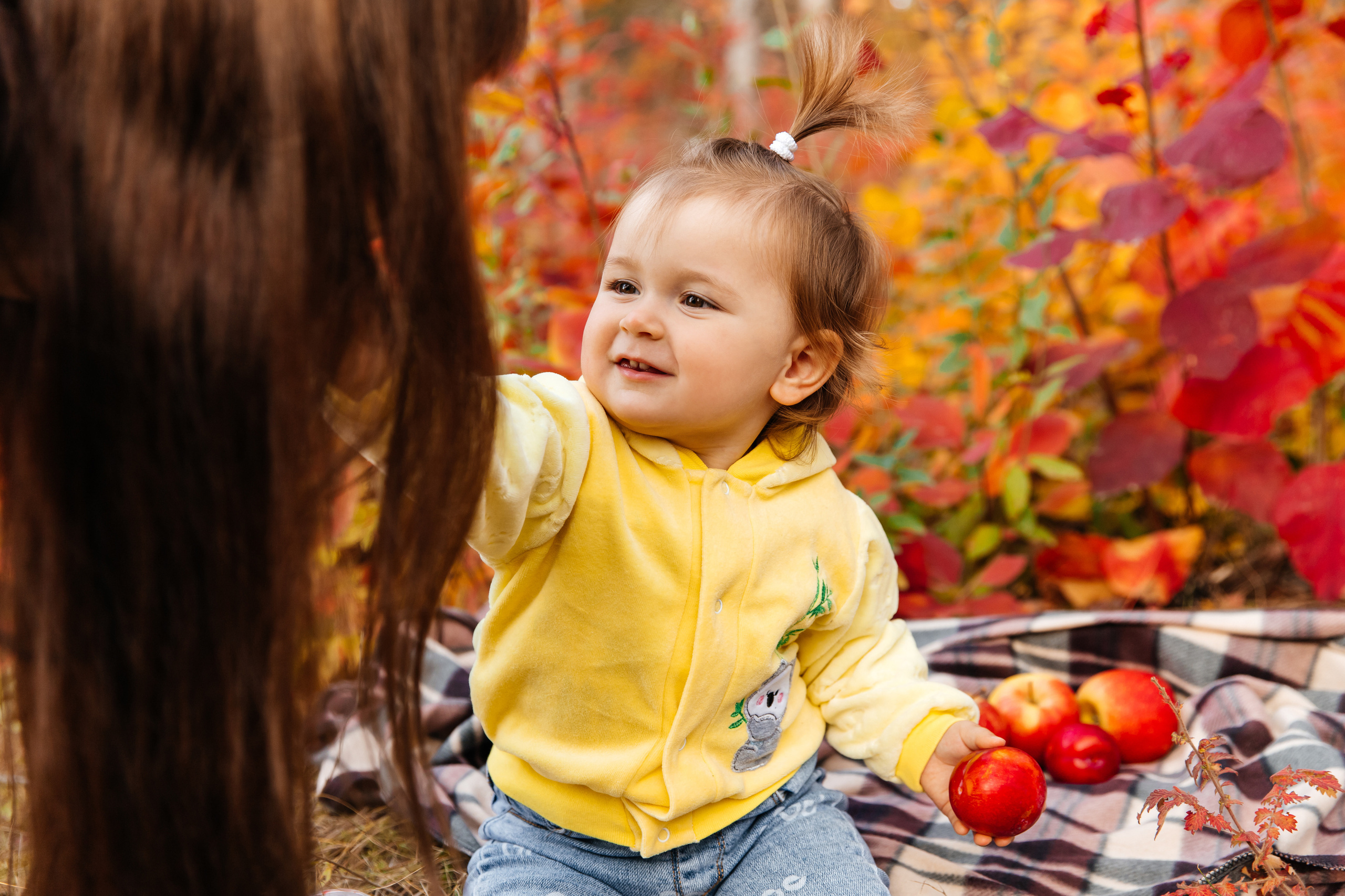 Forest. ФОТОГРАФ