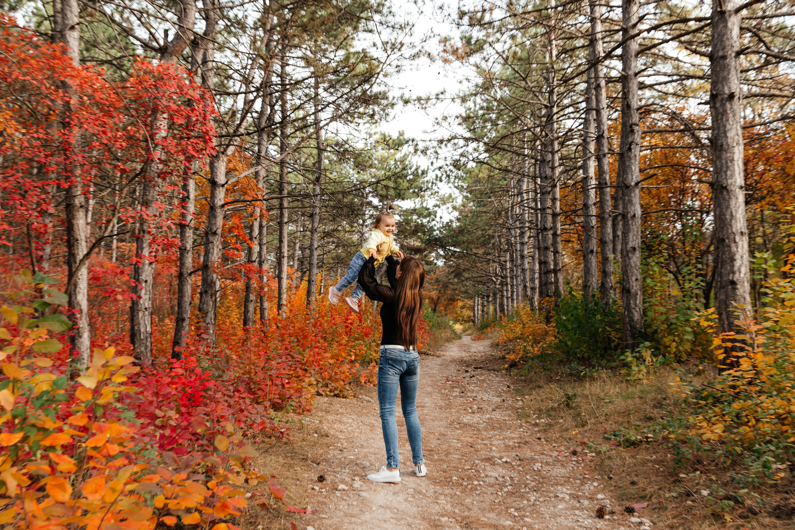 Forest. ФОТОГРАФ
