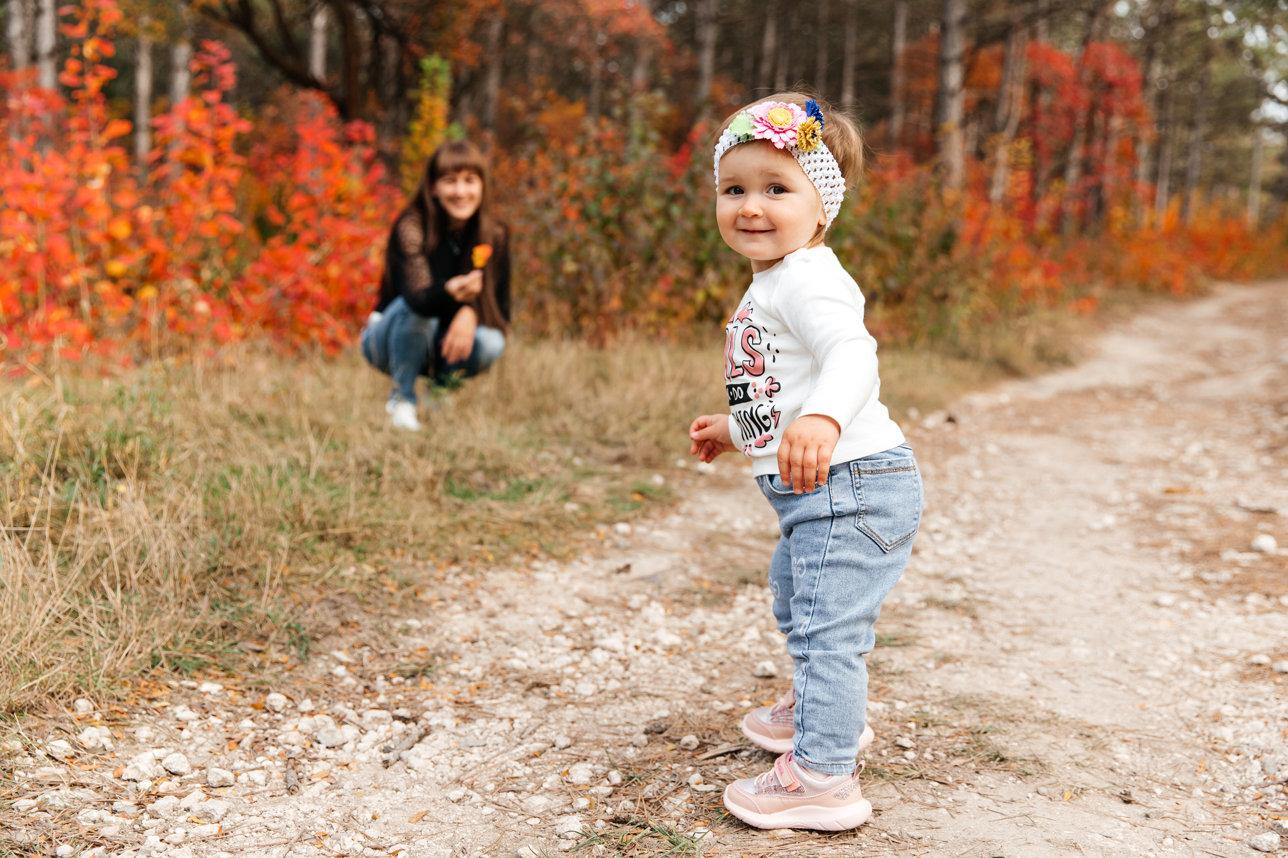 Forest. ФОТОГРАФ