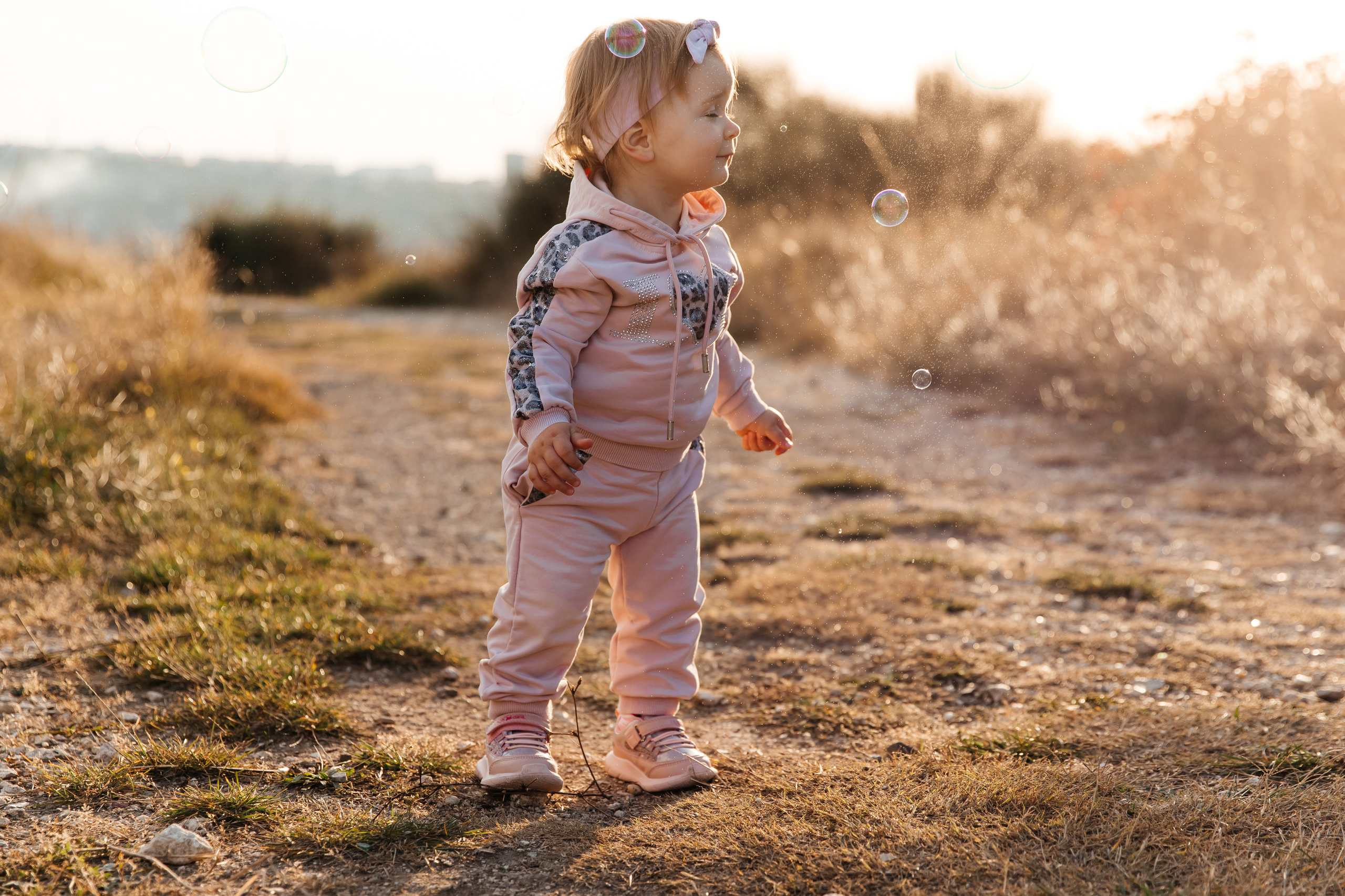 Forest. ФОТОГРАФ