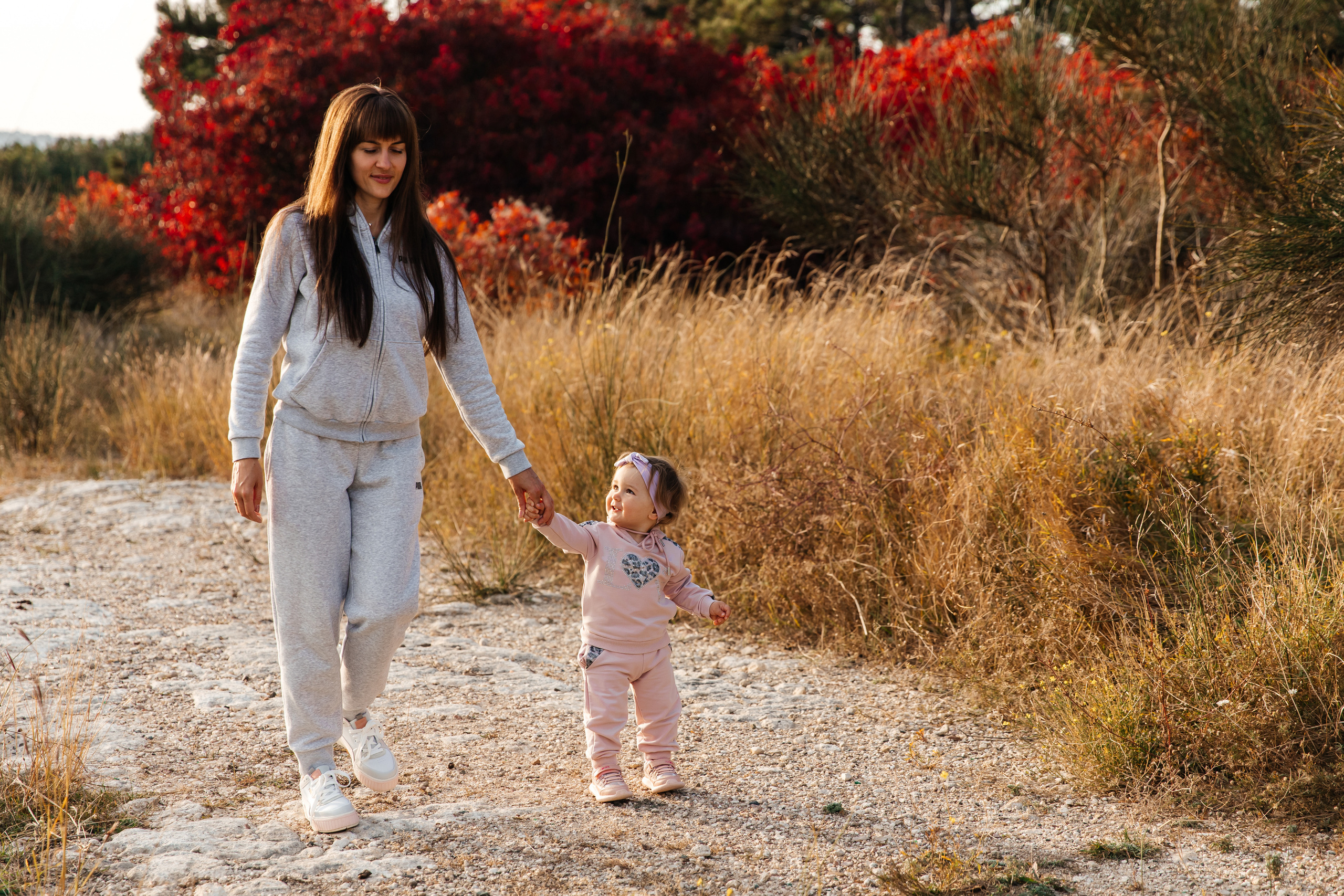 Forest. ФОТОГРАФ