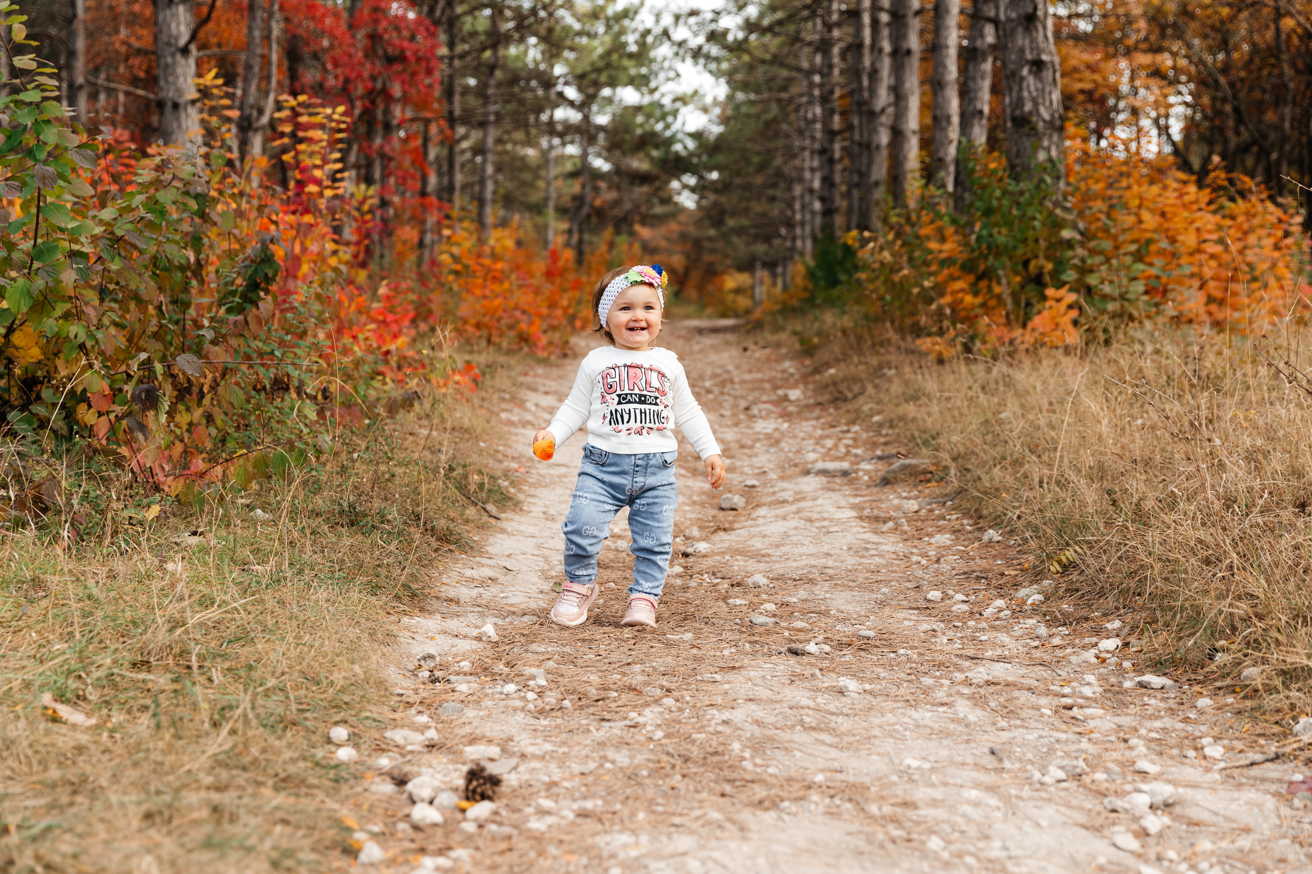 Forest. ФОТОГРАФ