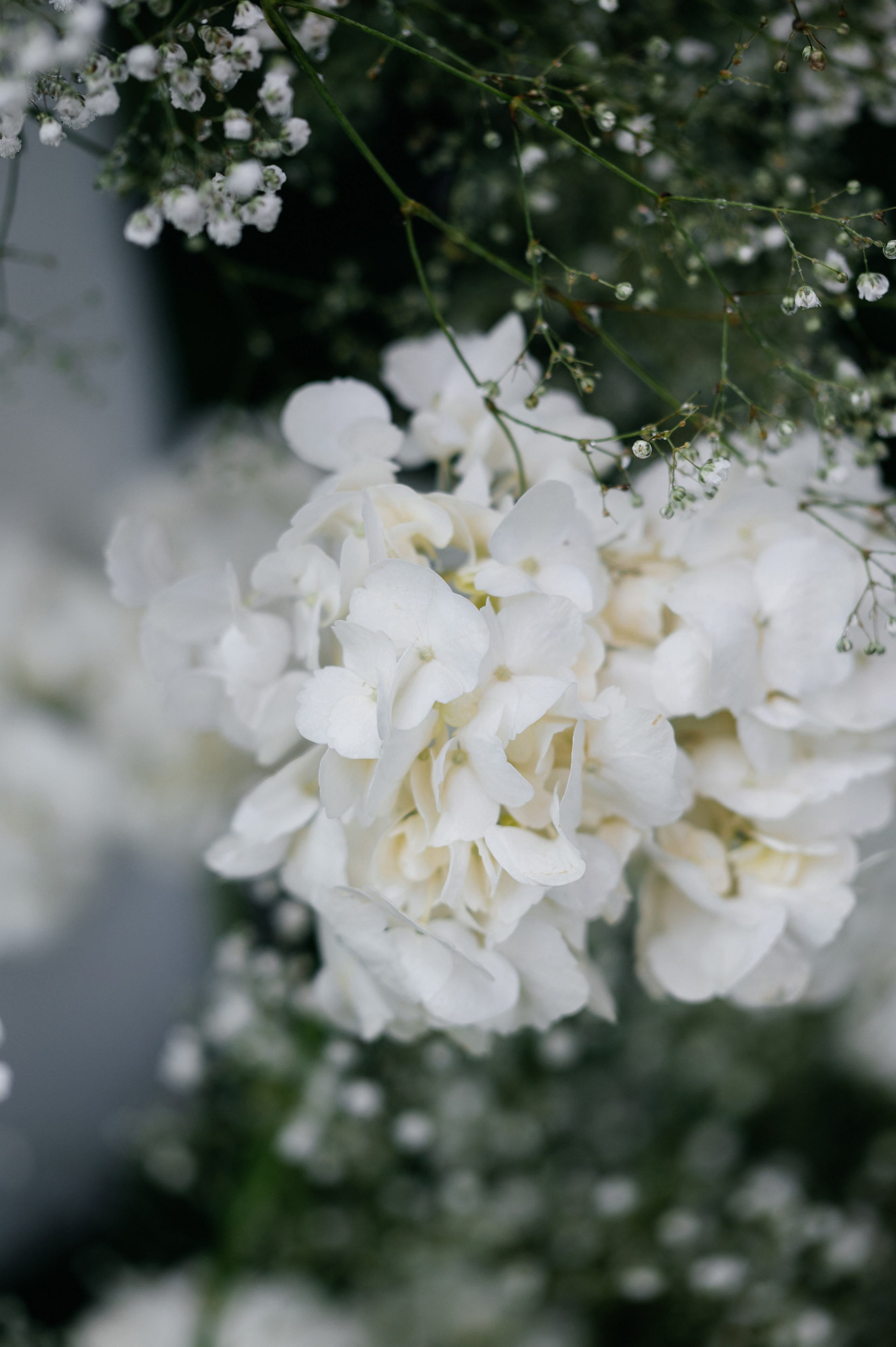 Свадьба Артем и Мария. Свадебный фотограф в Москве и по всему Миру Андрей Медведников