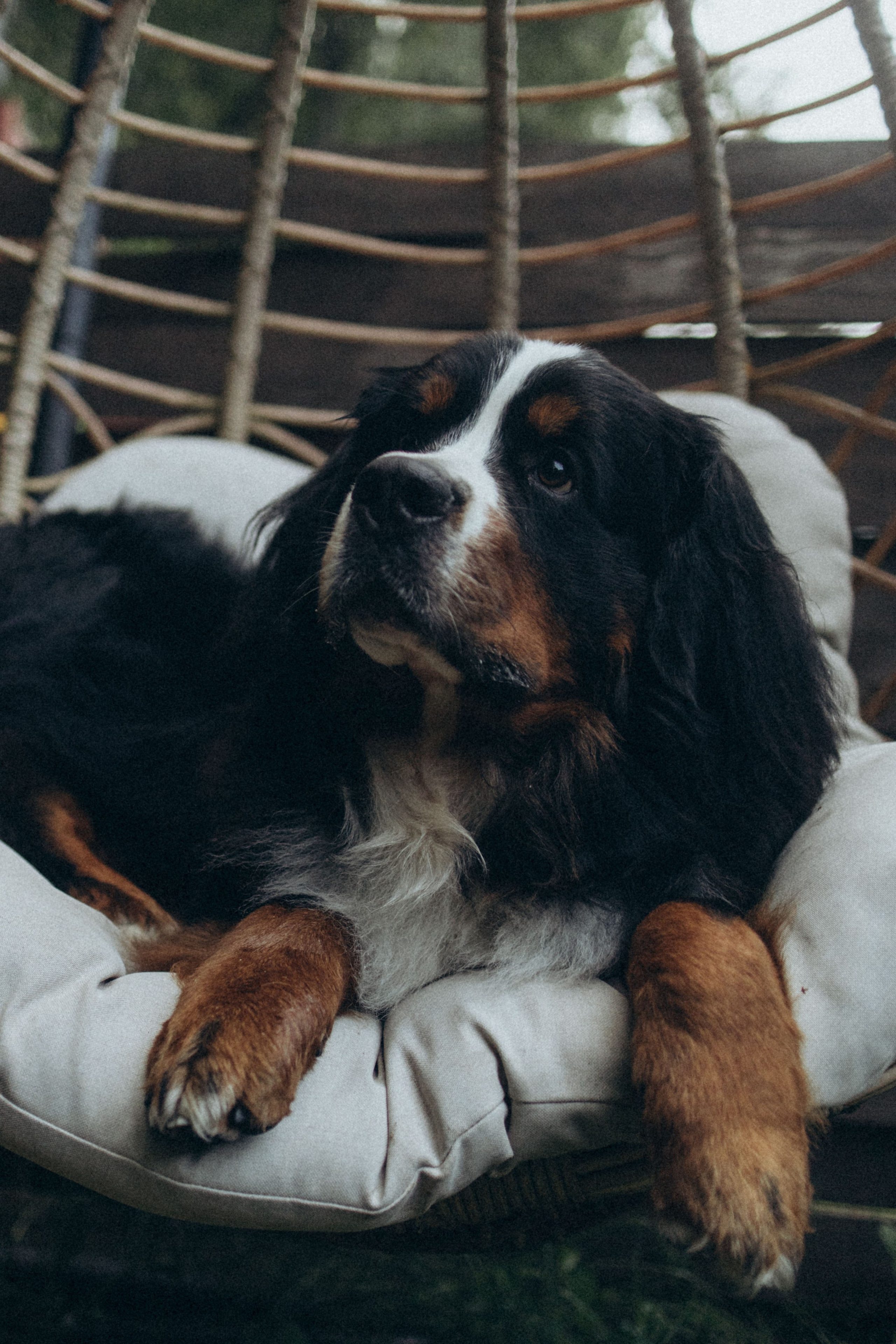 Таня и Тери