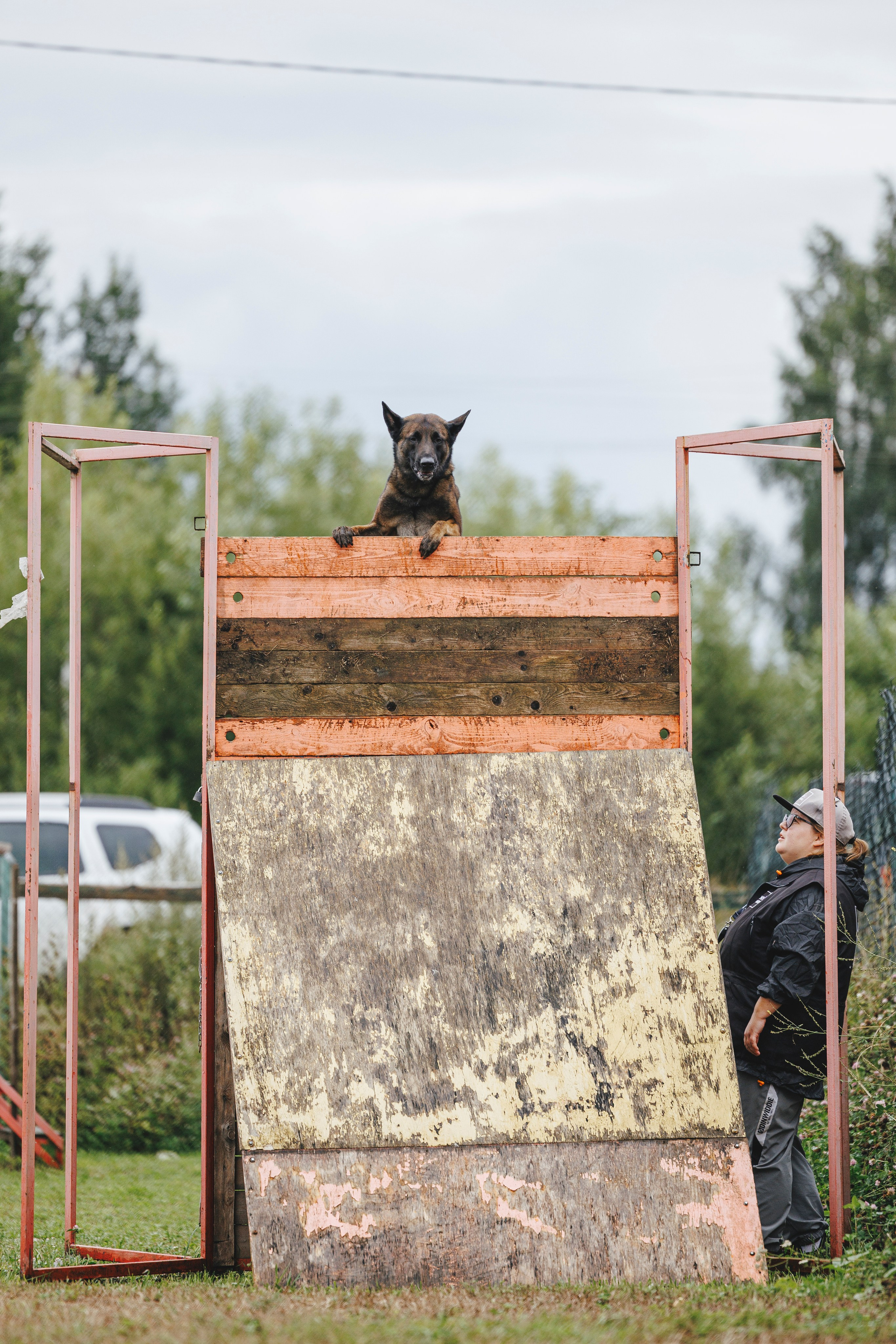 08.08.25-10.08.25 ЧР по мондьорингу г. Вологда. Фотограф-анималист Анна Маринич