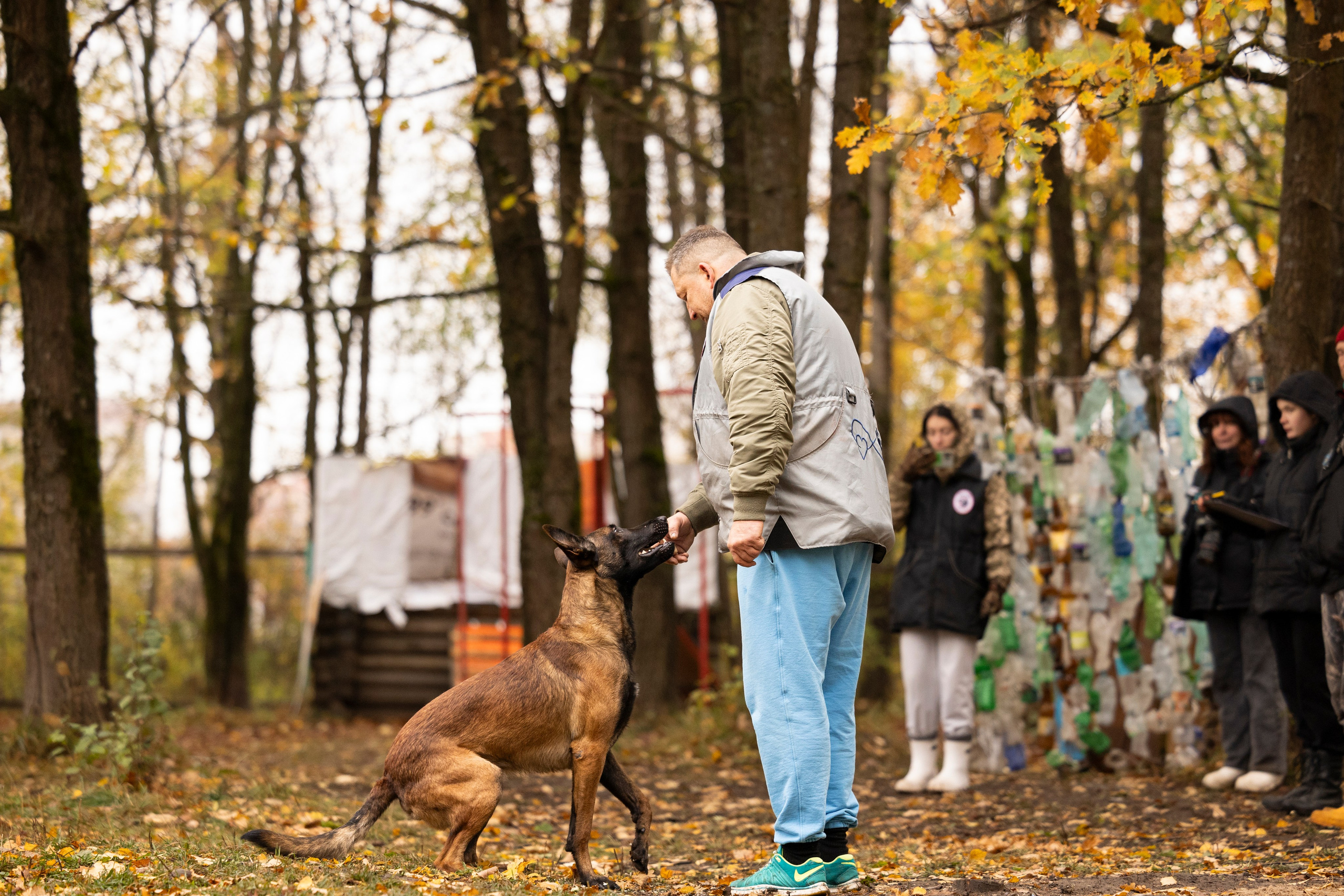 Соревнования по Мондьорингу г. Вологда. Фотограф-анималист Анна Маринич