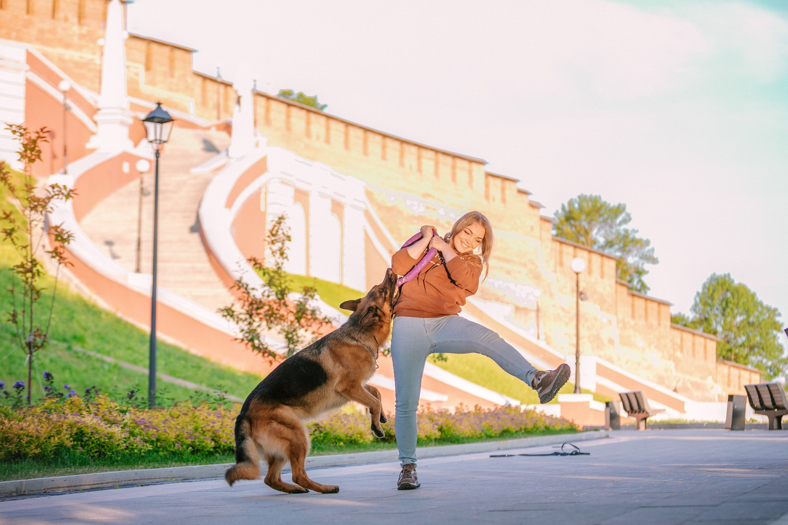 НО Расмус. Рассвет. Фотограф анималист Кузнецова Анна Нижний Новгород
