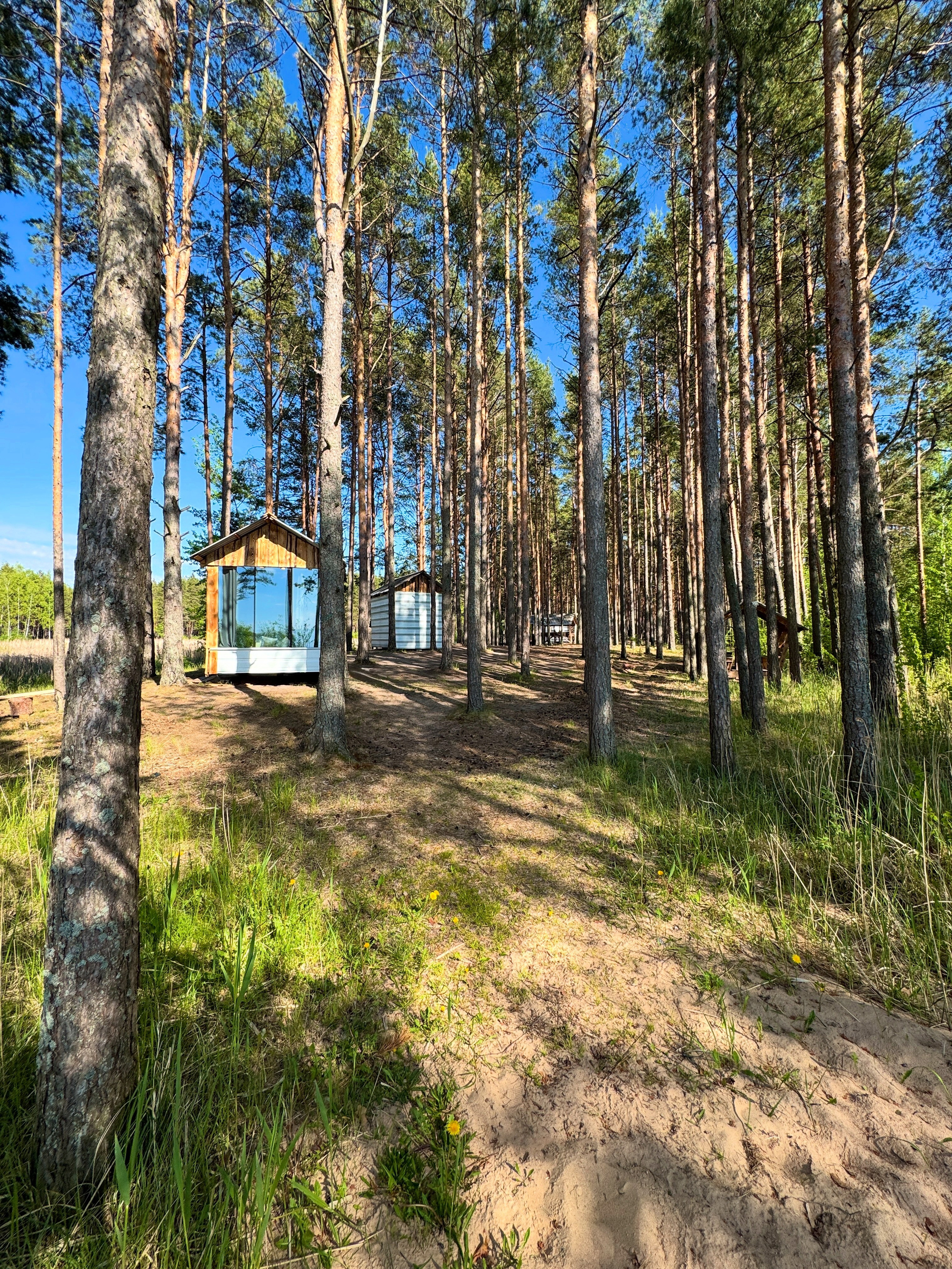 Домики. Добро пожаловать в Кемпинг — уникальное место для отдыха на лоне природы!