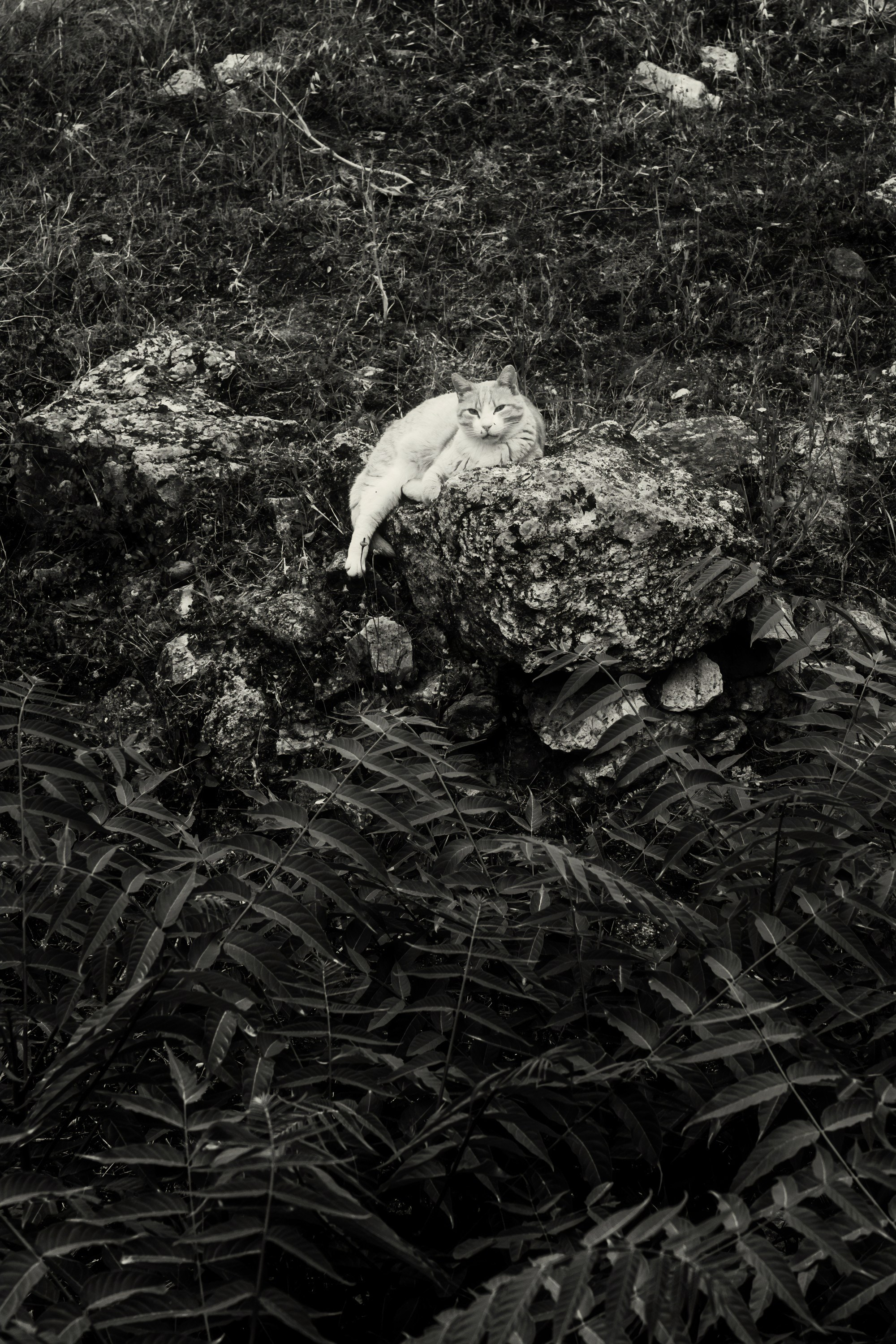 Турция, Греция, Иордания. Фотограф в Хабаровске. Фотография за 24 часа