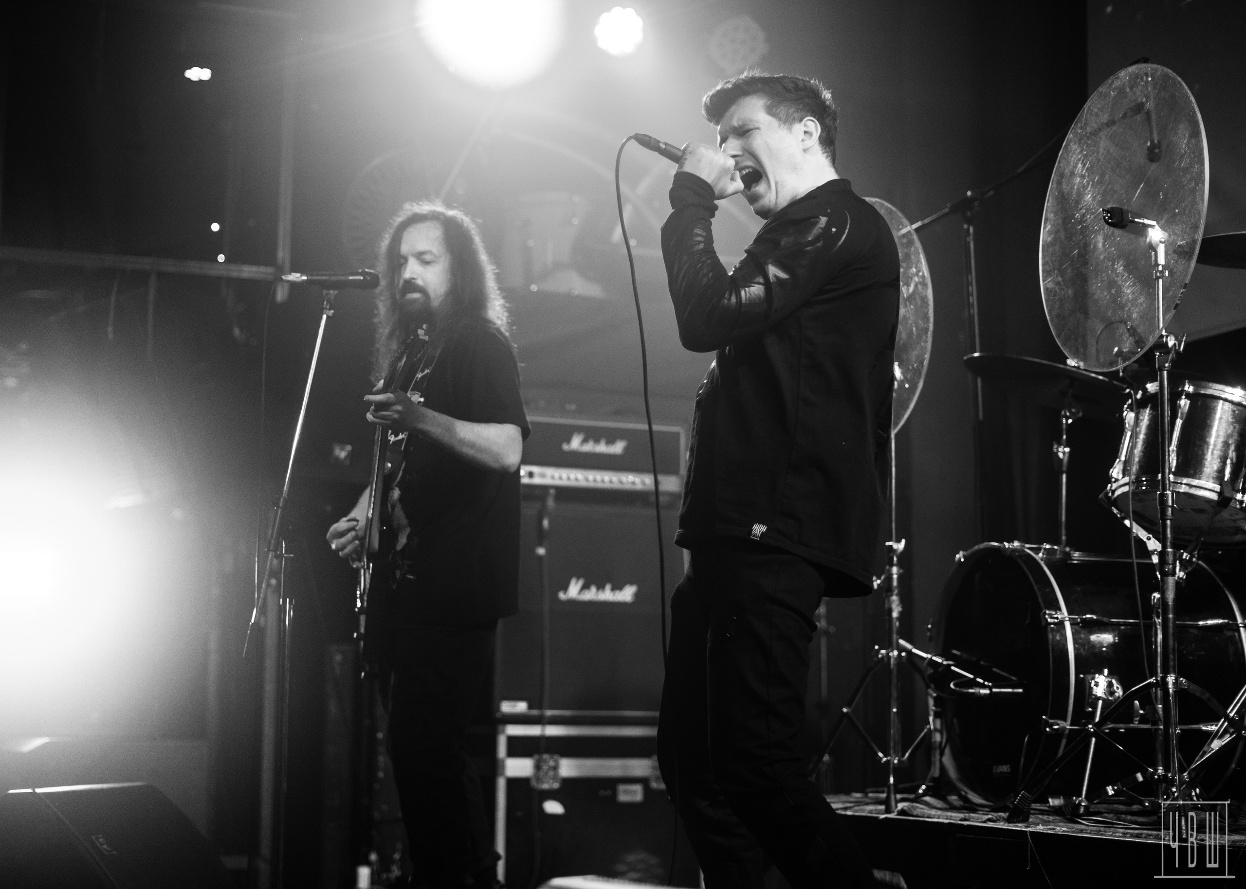 ШардаМ, 04.11.2025, Ласточка. Человек в Шляпе