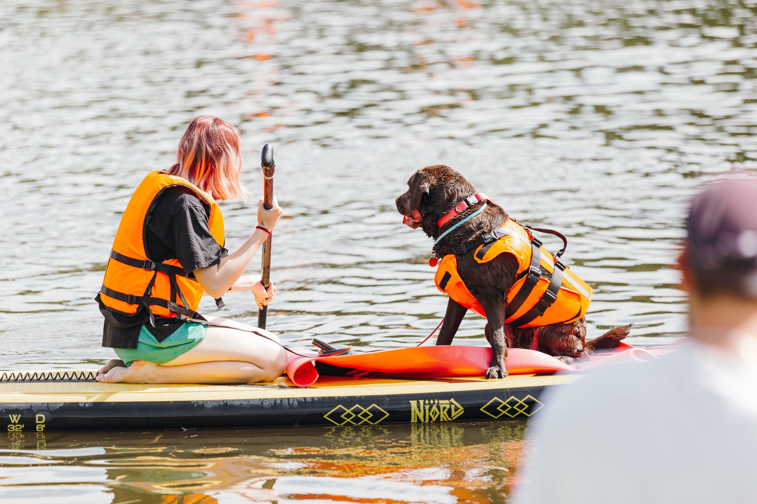 Petshop Sup day. Фотограф анималист Кристина Карпова, Москва