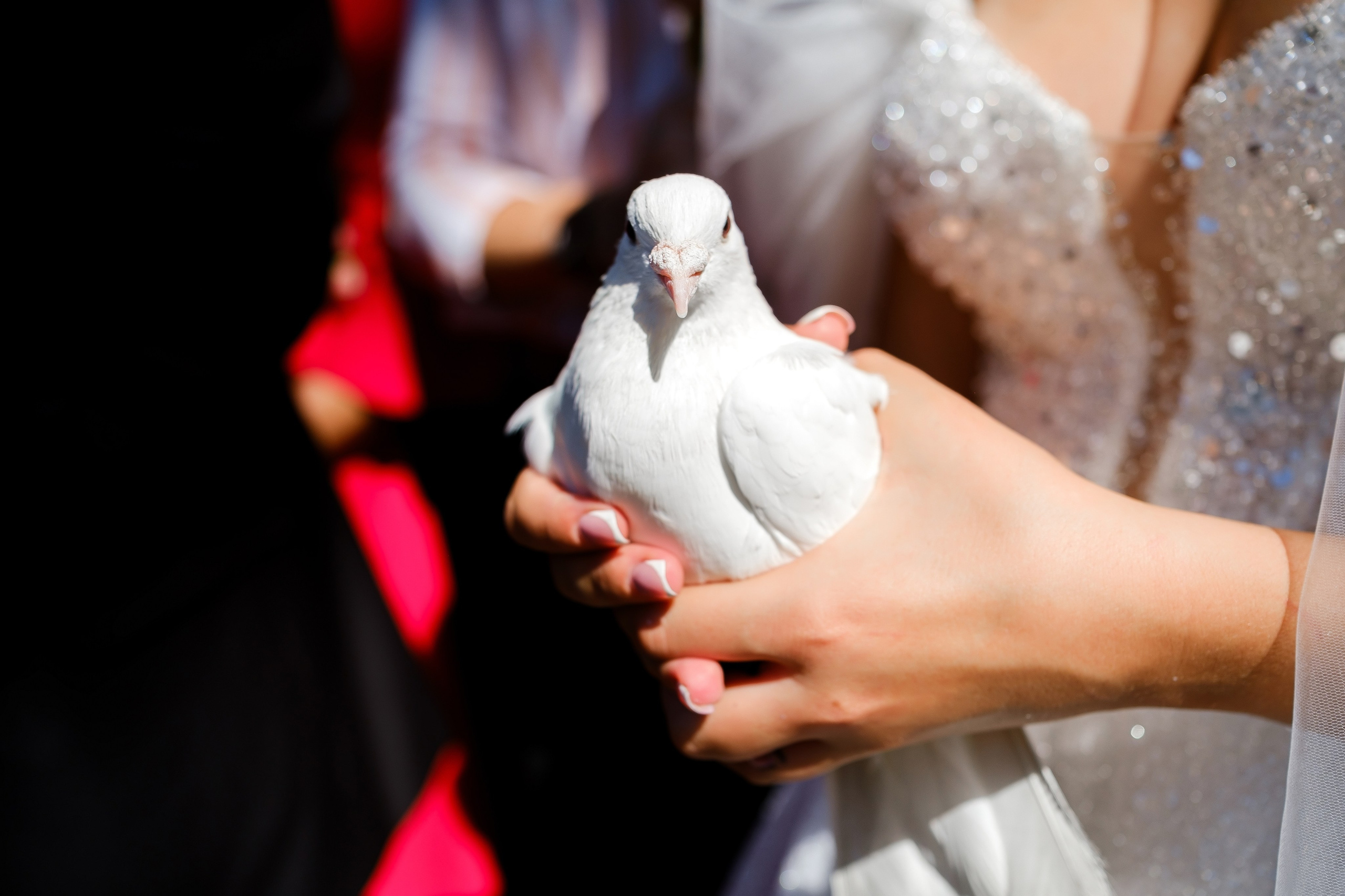 Михаил и Юлия. Свадебный фотограф | репортаж | праздники | крещение