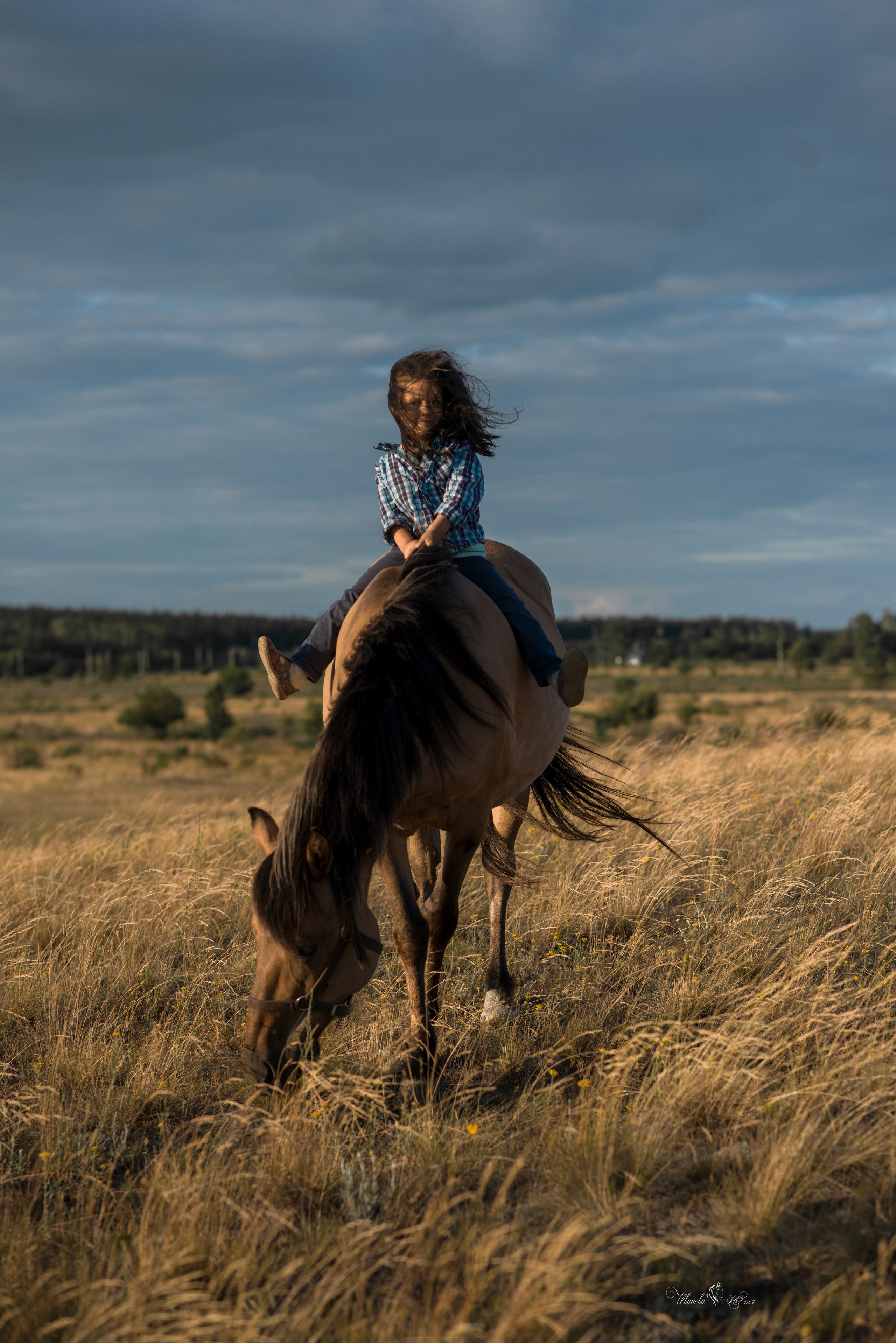 Семья Василия и Натальи. Конный фотограф в Саратове Юлия Иванова