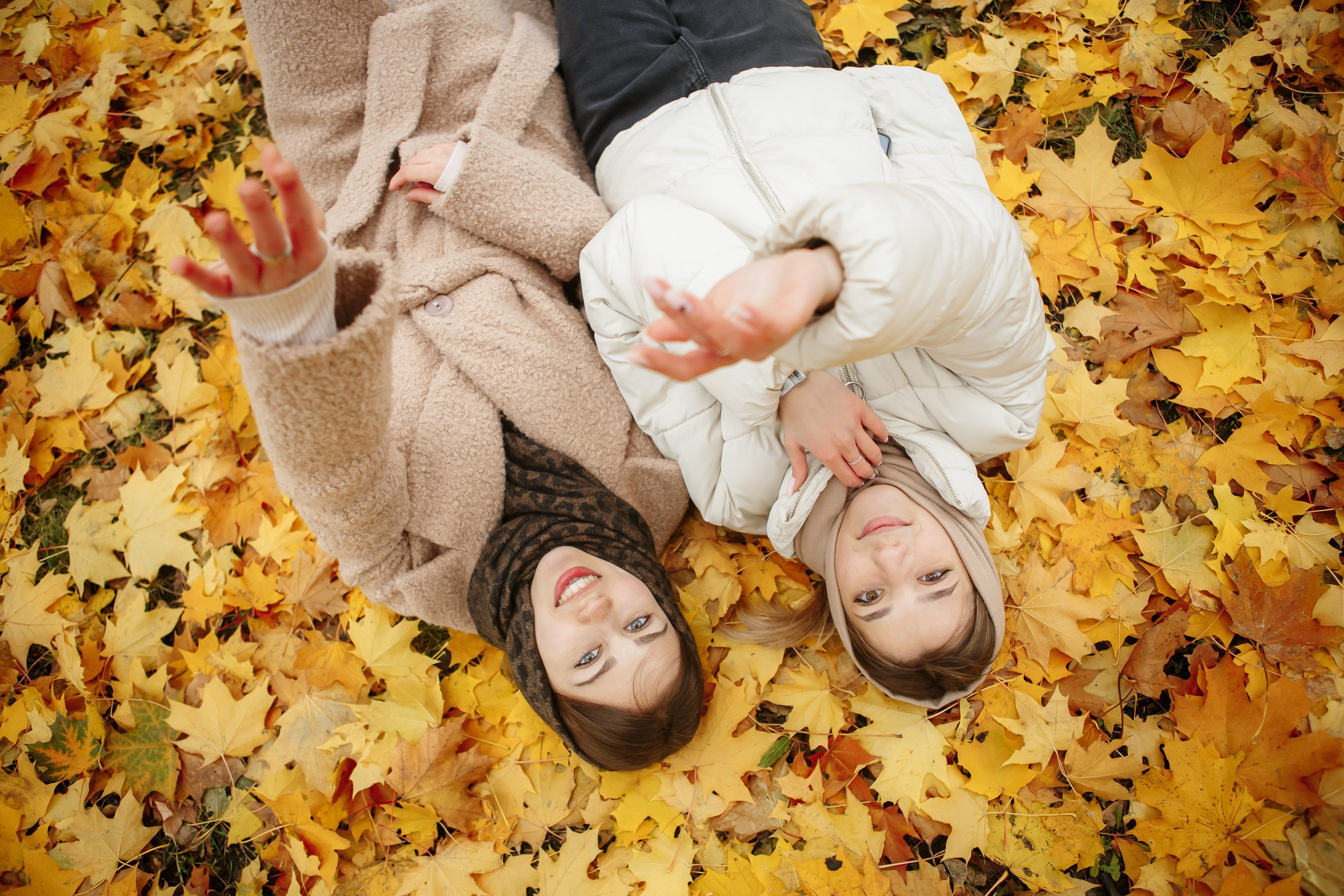 Осень Гимназия 12 11 В 2023 г. Свадебный и портретный Фотограф в Липецке Дмитрий Котюков