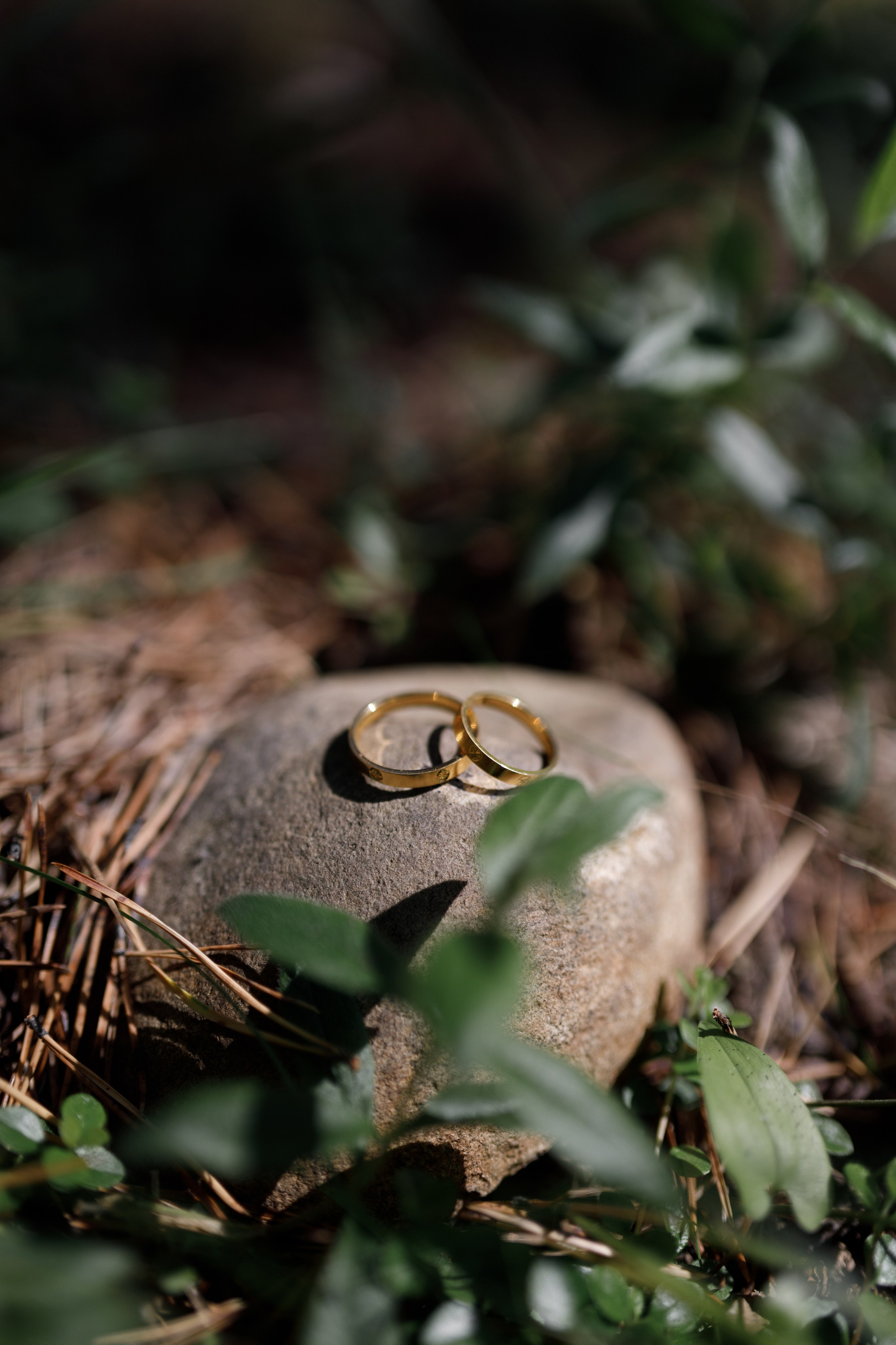 Wedding of Mulkesh & Maria. Свадебный и семейный фотограф в Иркутске Яна Лиа