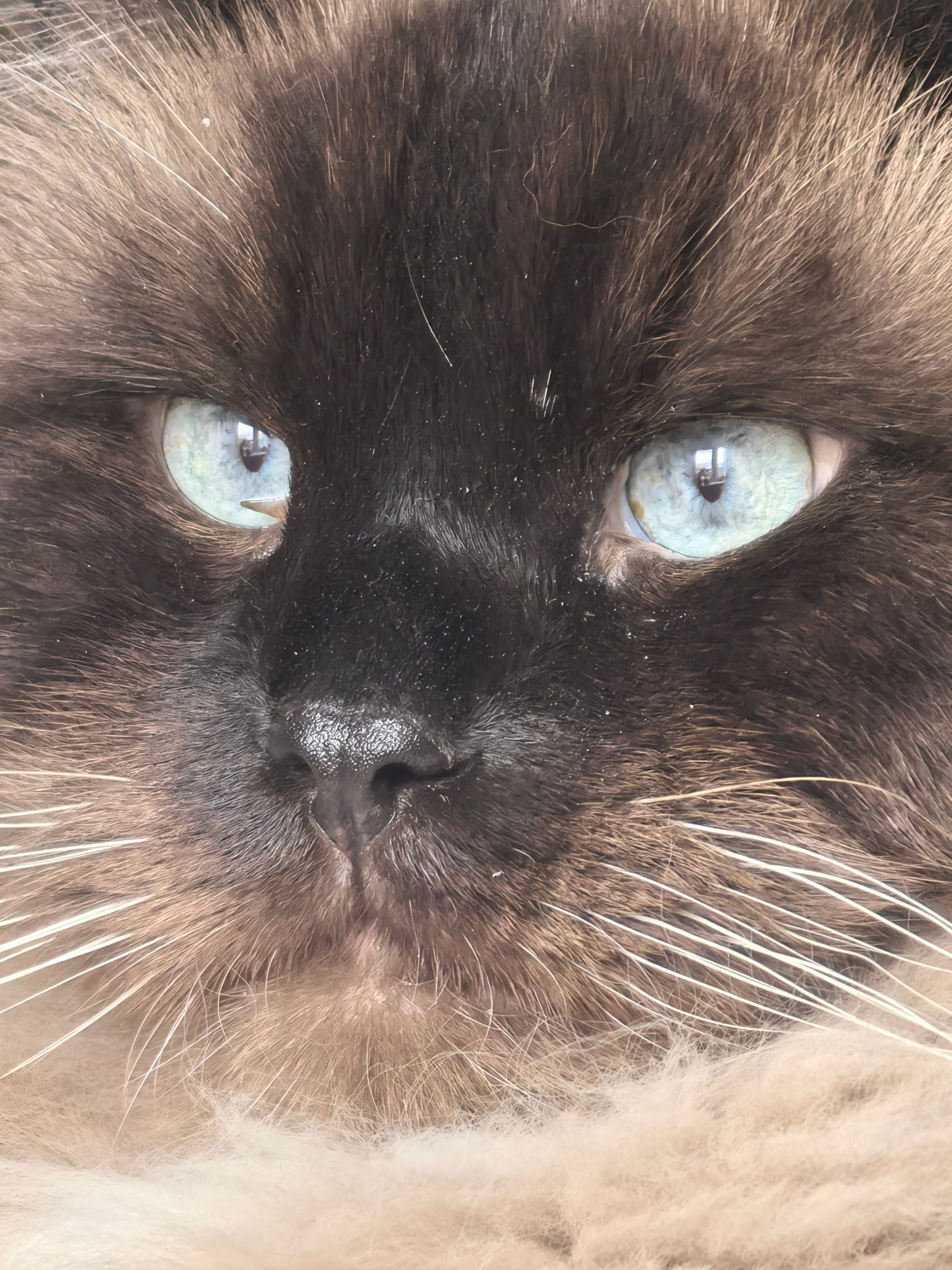 ПочтиМАКРО. Школьные выпускные альбомы в Москве Марина Николаева