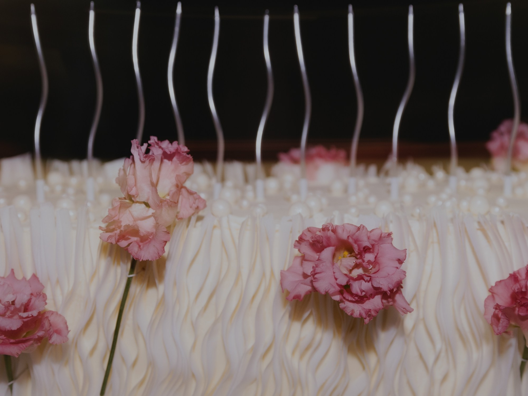 Екатерина и Николай (полный день). Свадебные фотографы в Гомеле и Минске Сергей и Анастасия Фещенок