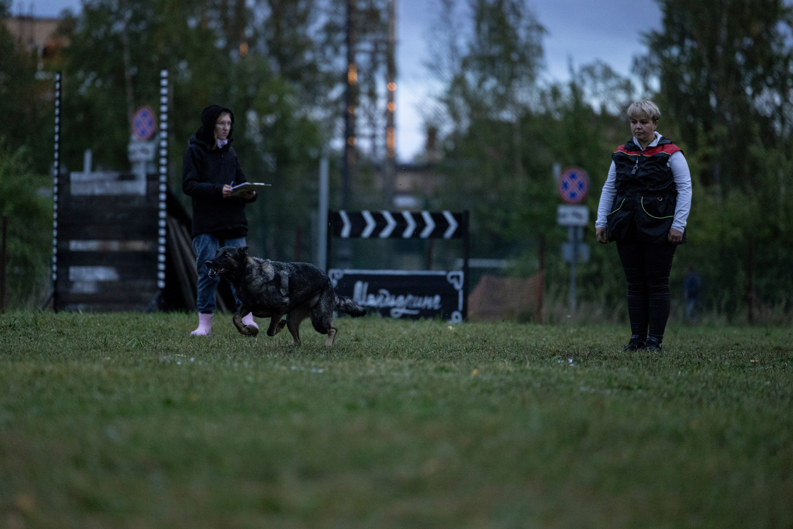 Испытания по Мондьорингу г. Пушкин. Фотограф-анималист Анна Маринич